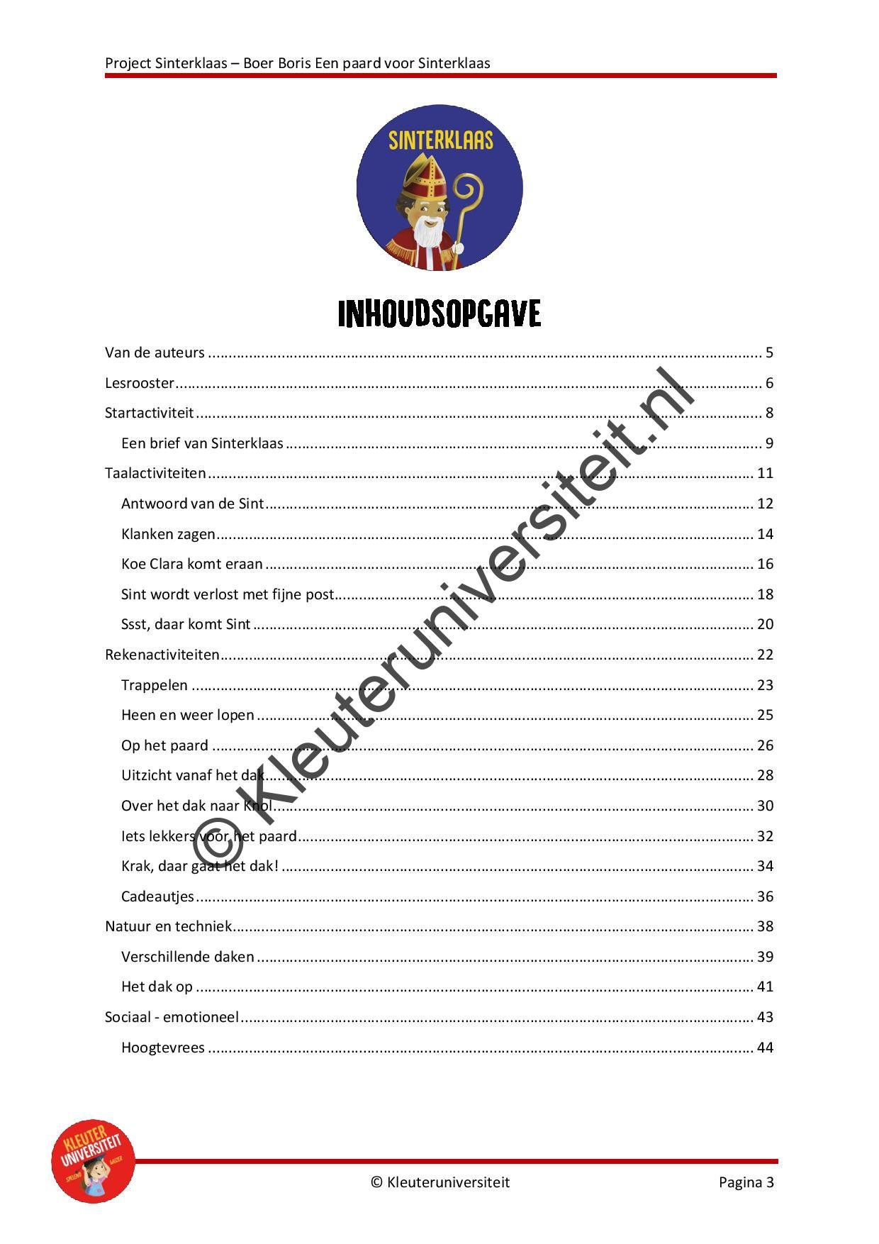 Boer Boris - een paard voor Sinterklaas - Afbeelding 2