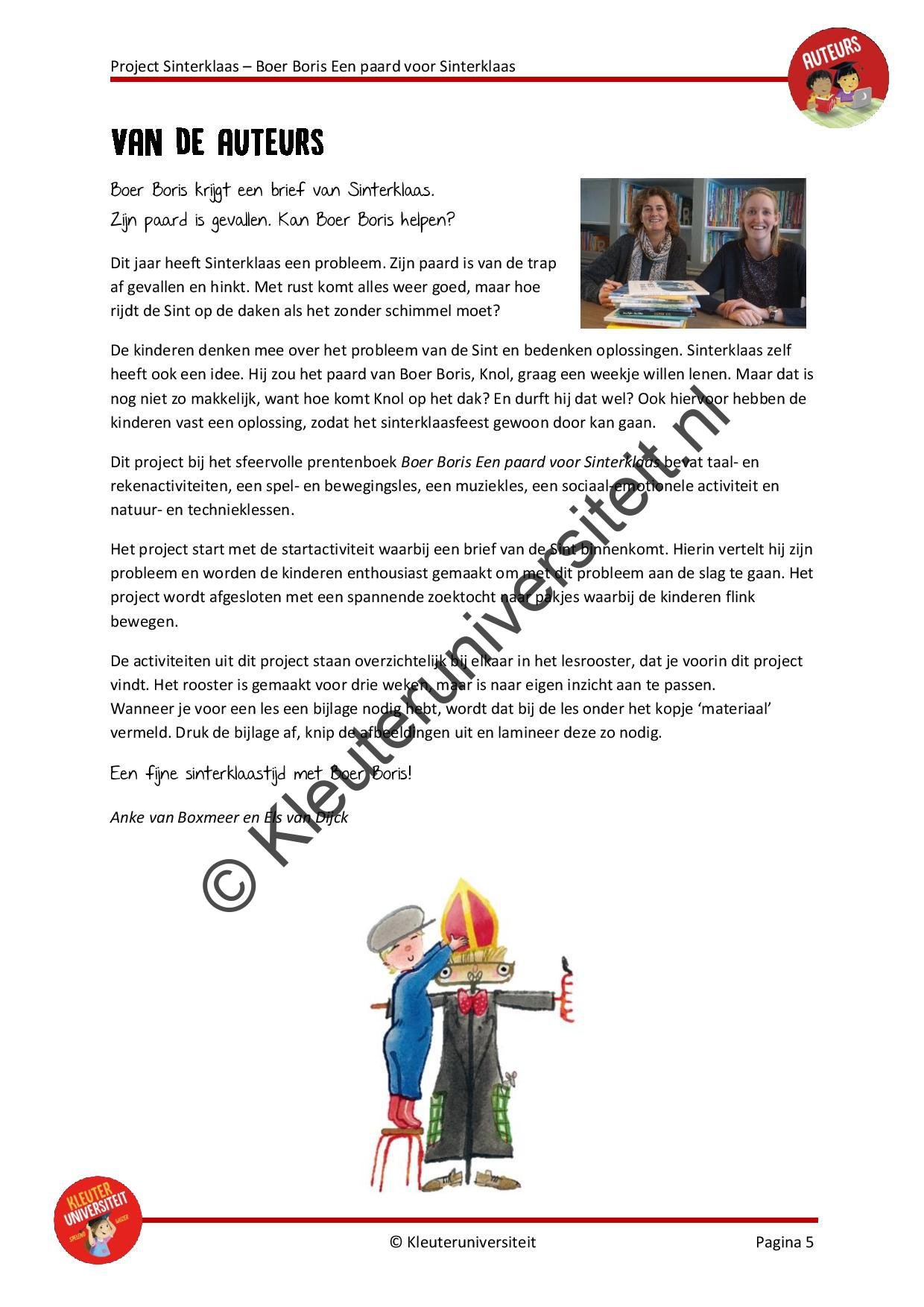 Boer Boris - een paard voor Sinterklaas - Afbeelding 4