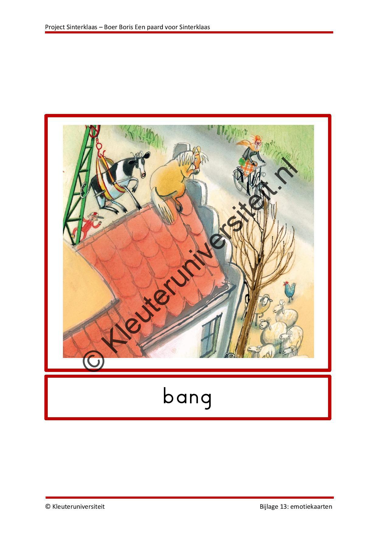 Boer Boris - een paard voor Sinterklaas - Afbeelding 8