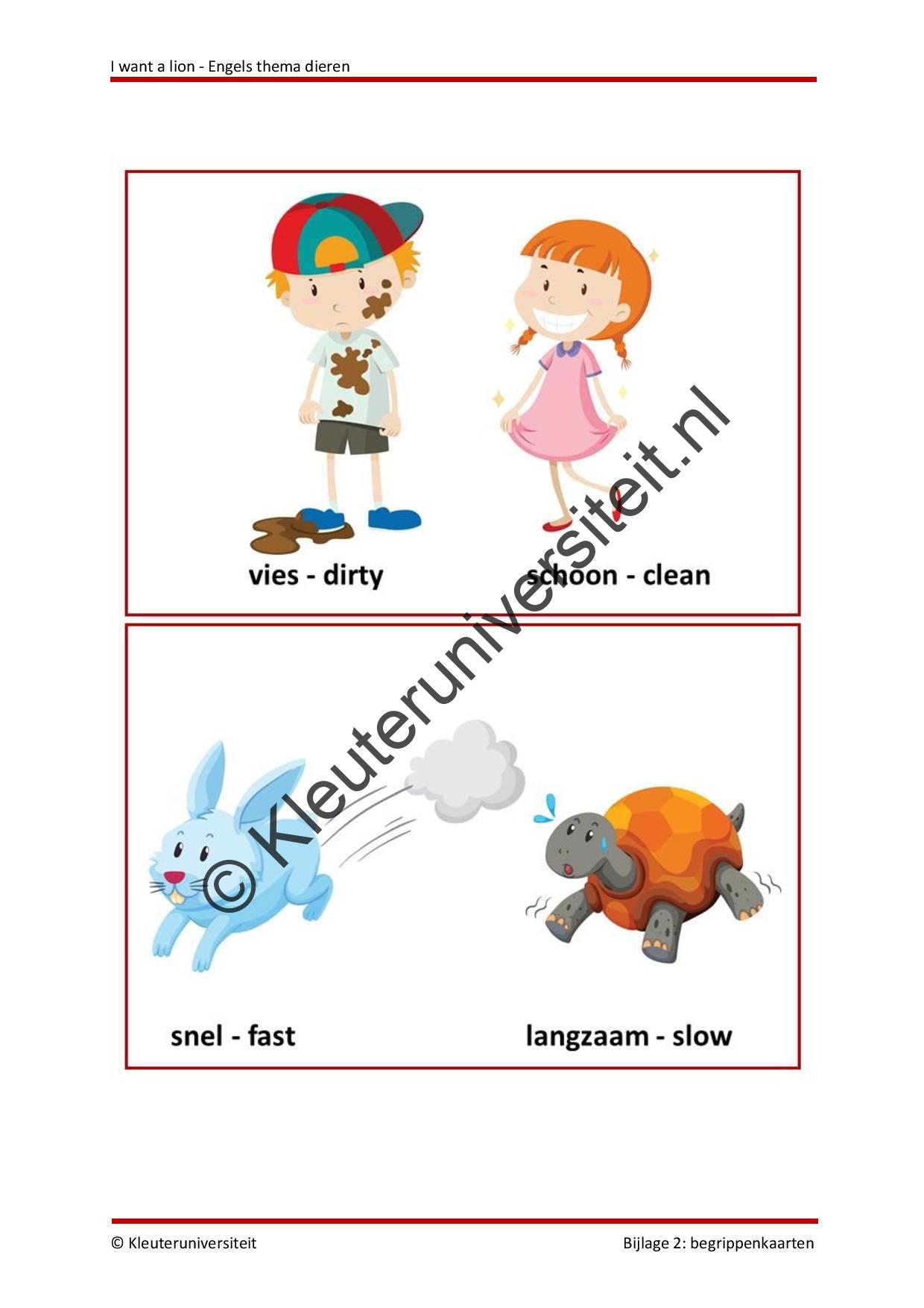 I want a lion - Engels thema dieren - Afbeelding 7