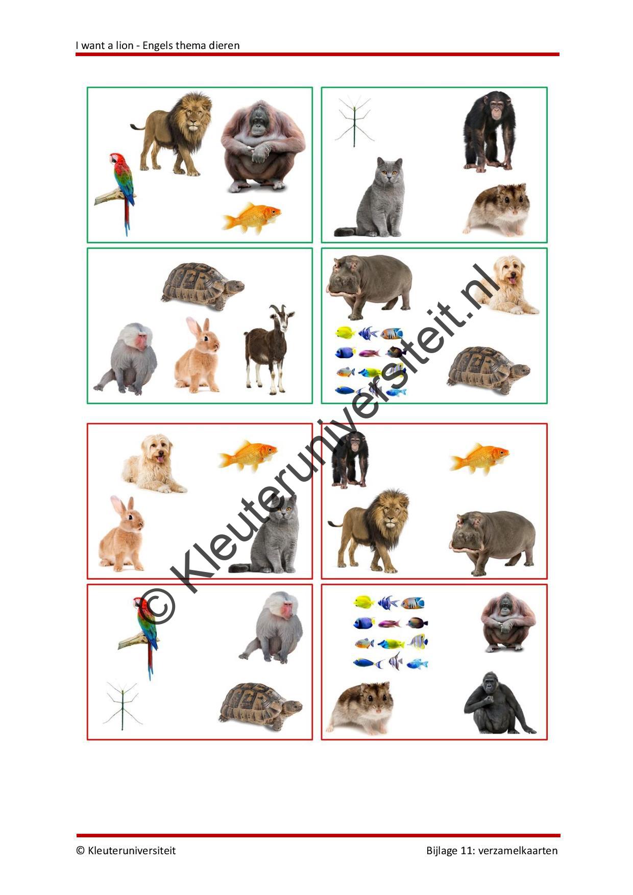 I want a lion - Engels thema dieren - Afbeelding 8