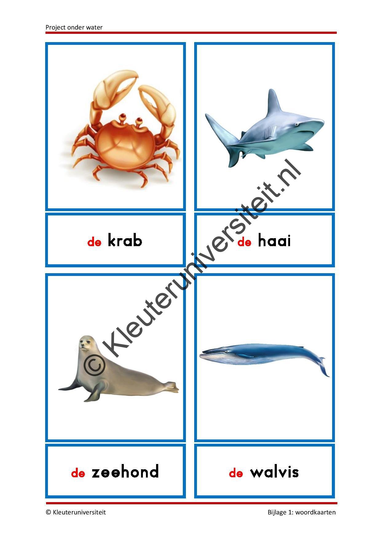 Onder water - Afbeelding 7