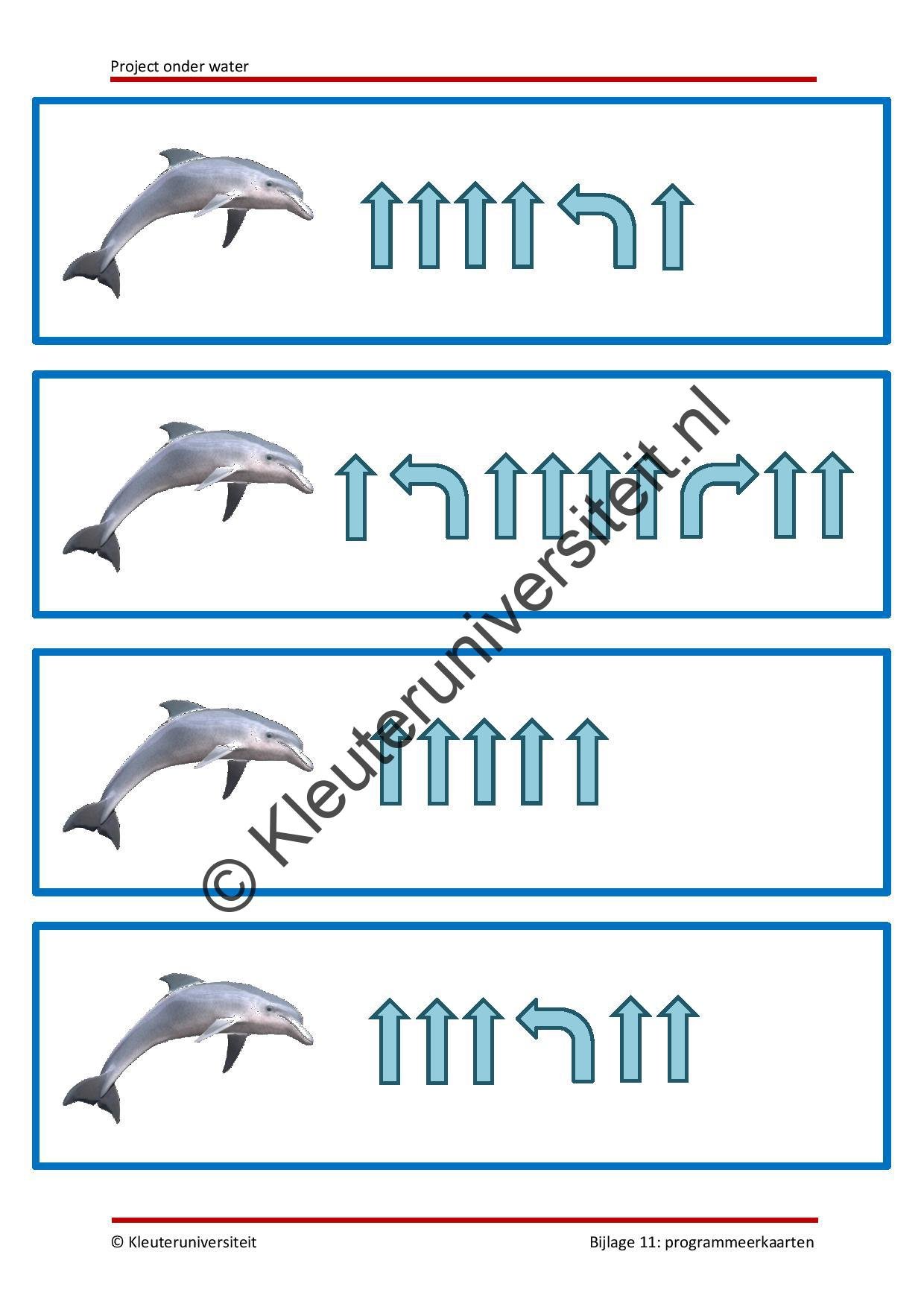 Onder water - Afbeelding 8