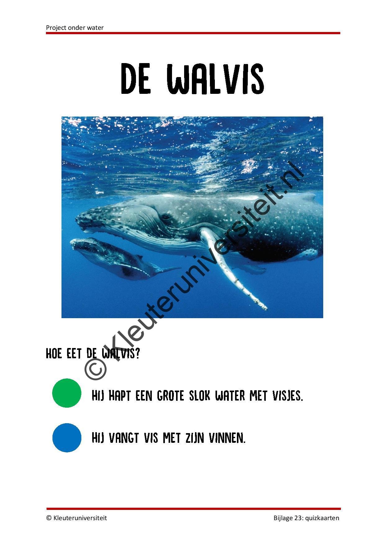 Onder water - Afbeelding 9