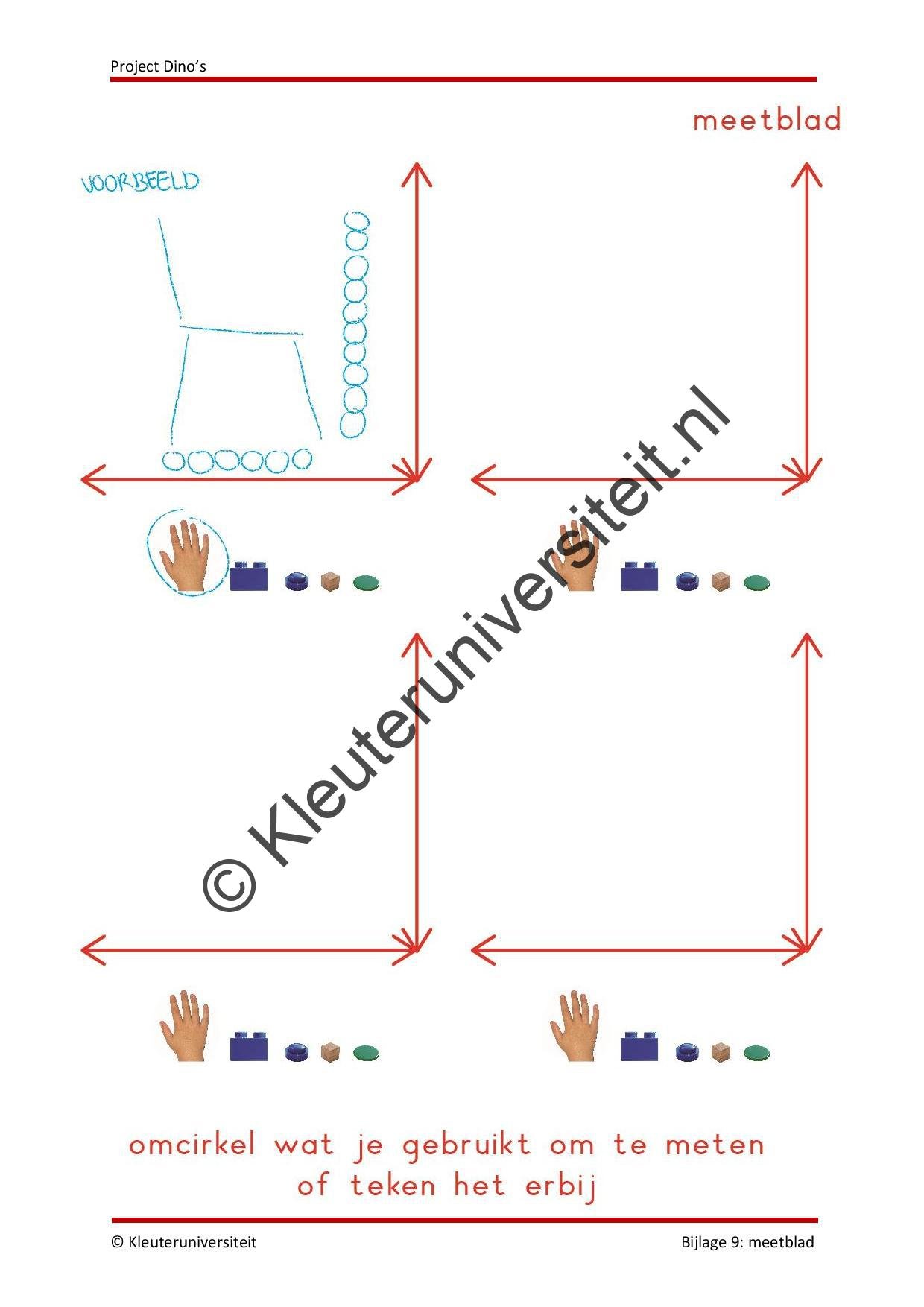 Dino's - Afbeelding 9