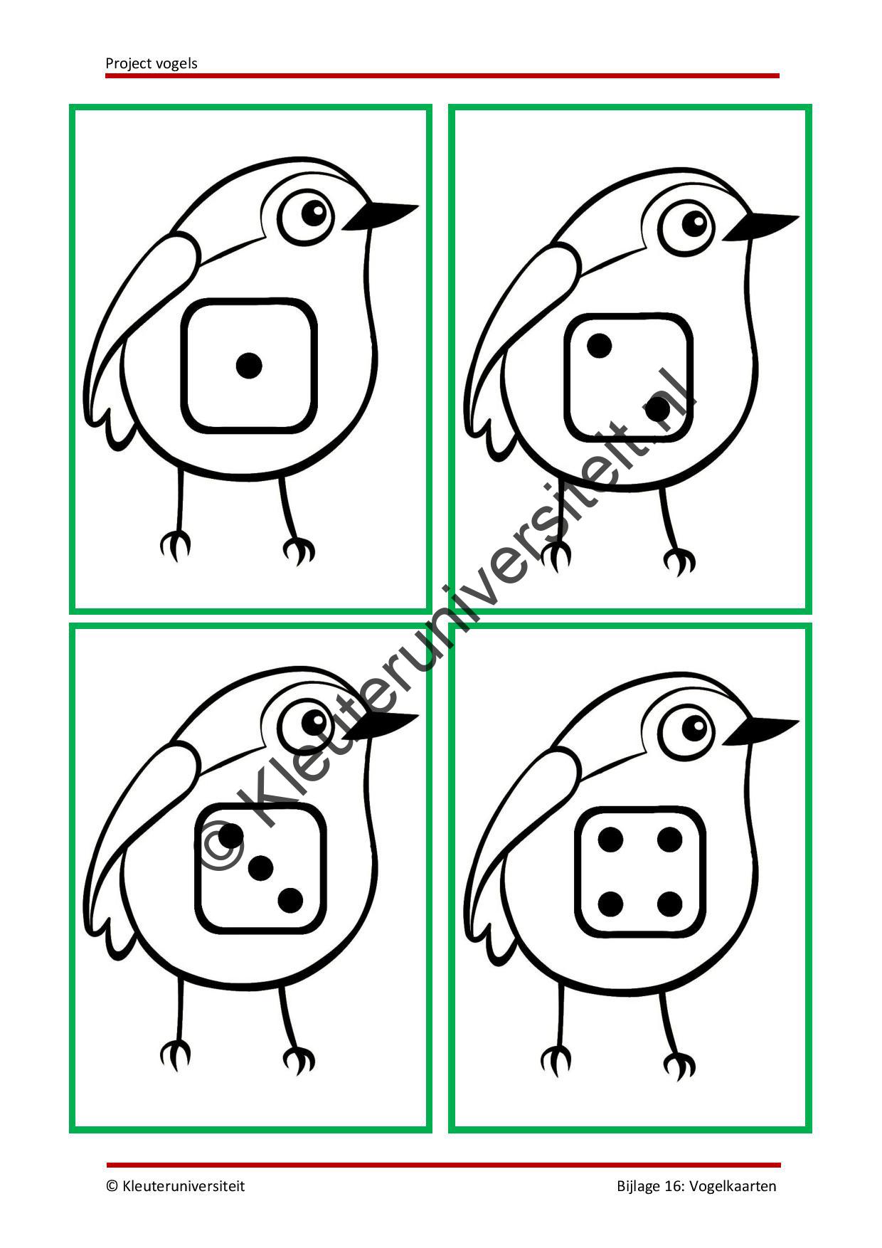 Vogels - Afbeelding 12