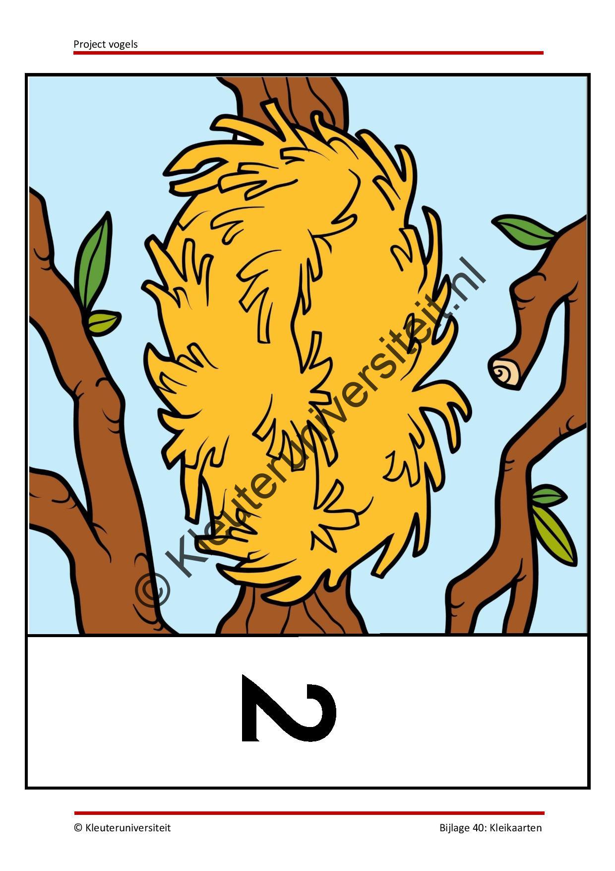 Vogels - Afbeelding 13