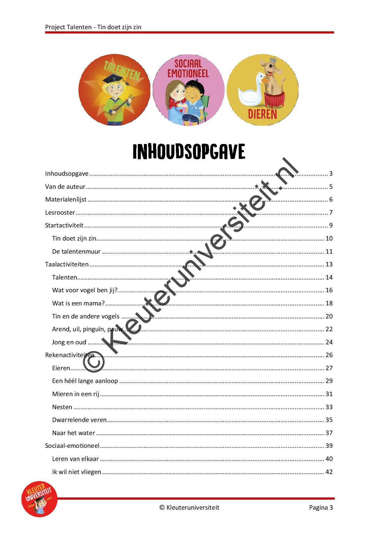 Talenten - Tin doet zijn zin - Afbeelding 2