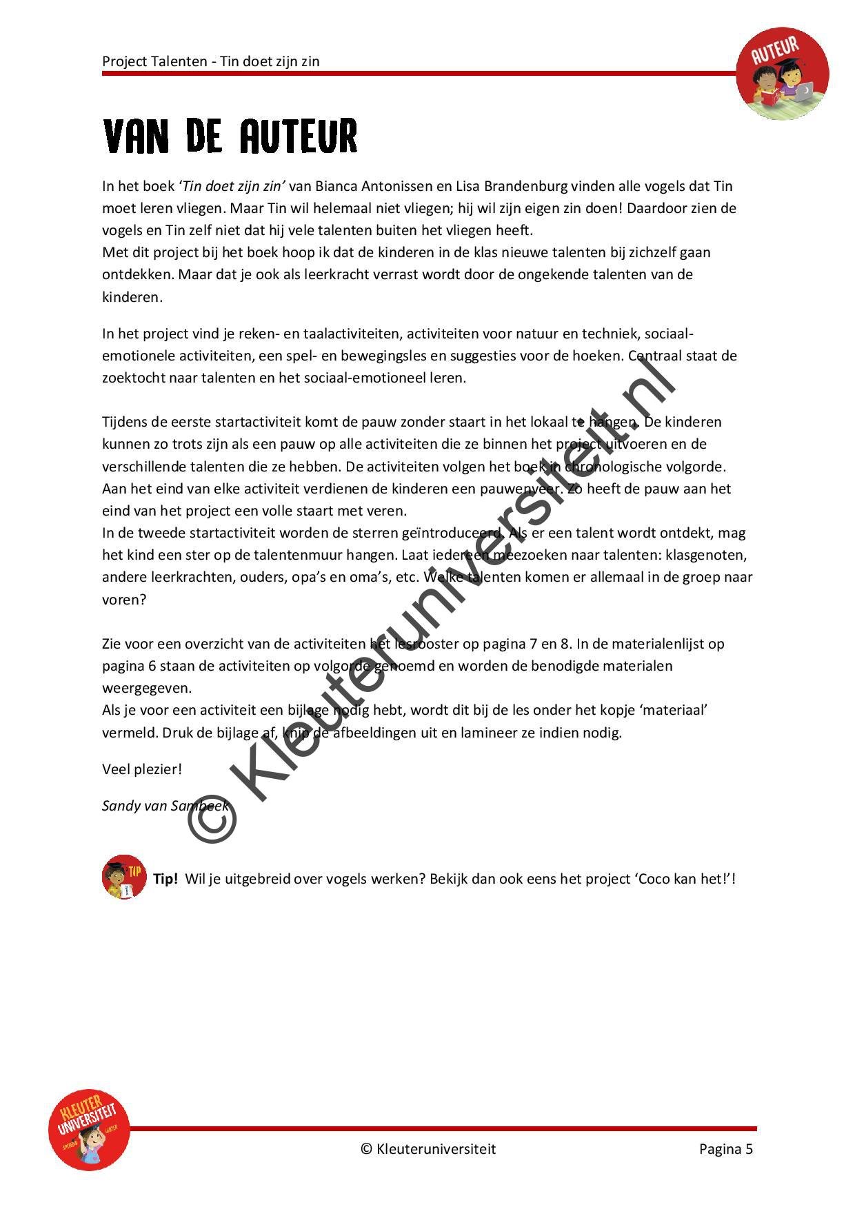 Talenten - Tin doet zijn zin - Afbeelding 4