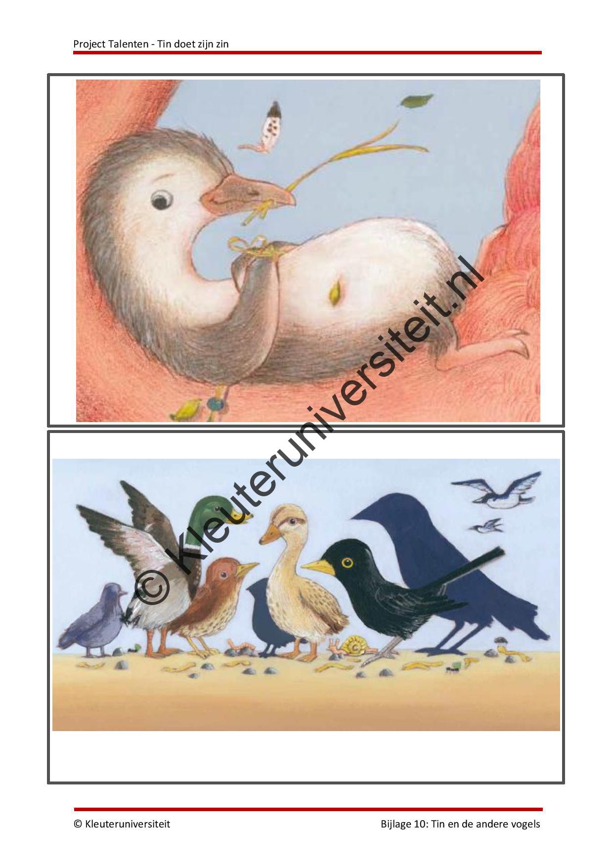 Talenten - Tin doet zijn zin - Afbeelding 9