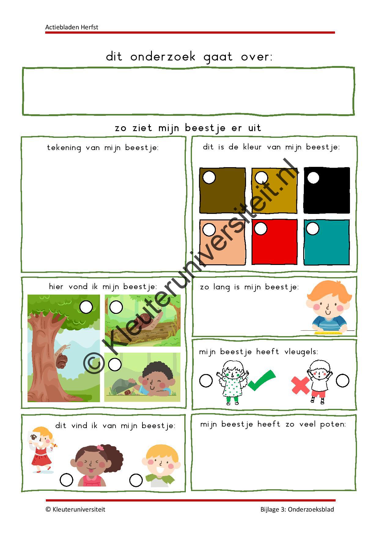 Actiebladen herfst - Afbeelding 6