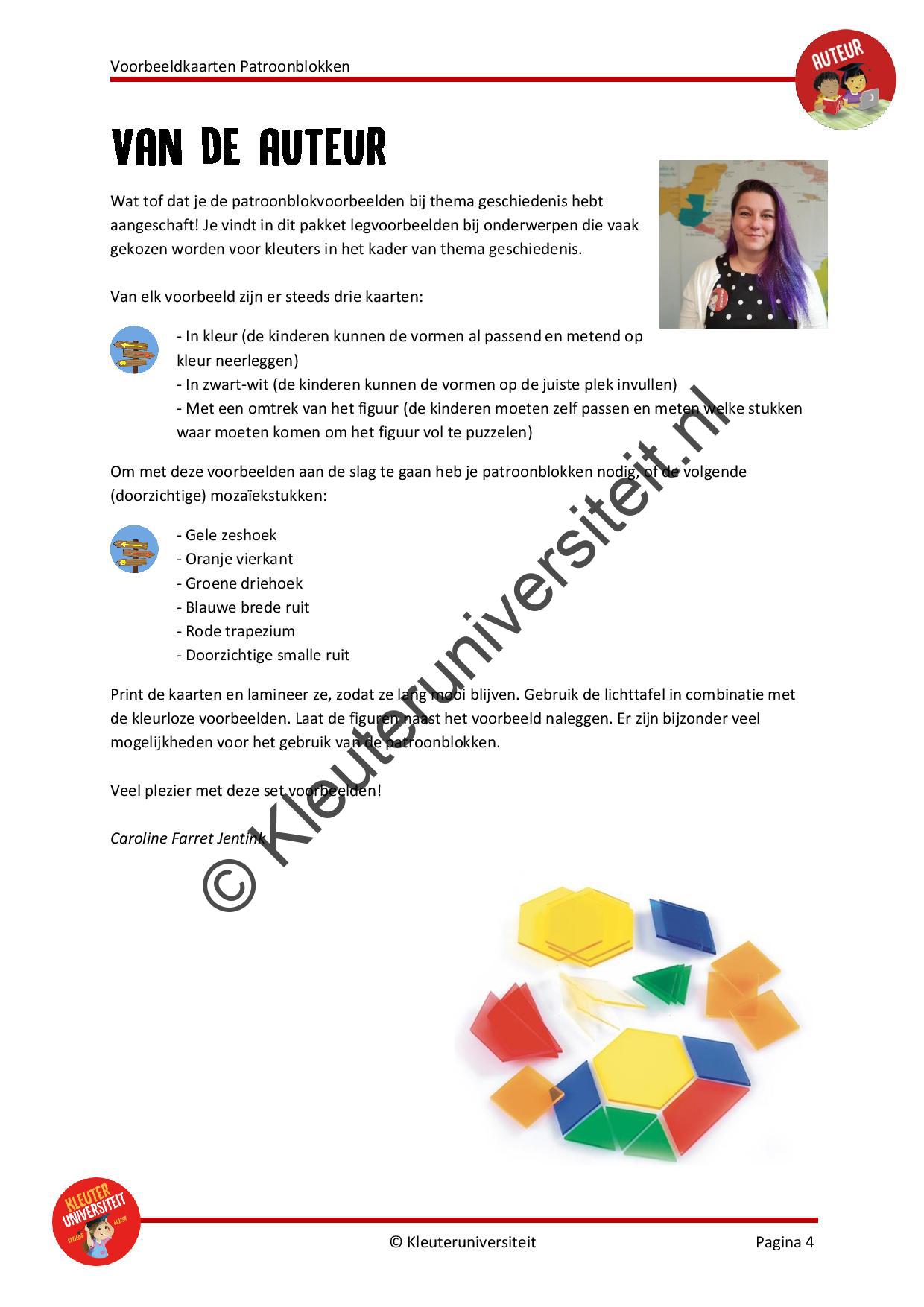 Patroonblokken voorbeeldkaarten geschiedenis - Afbeelding 2