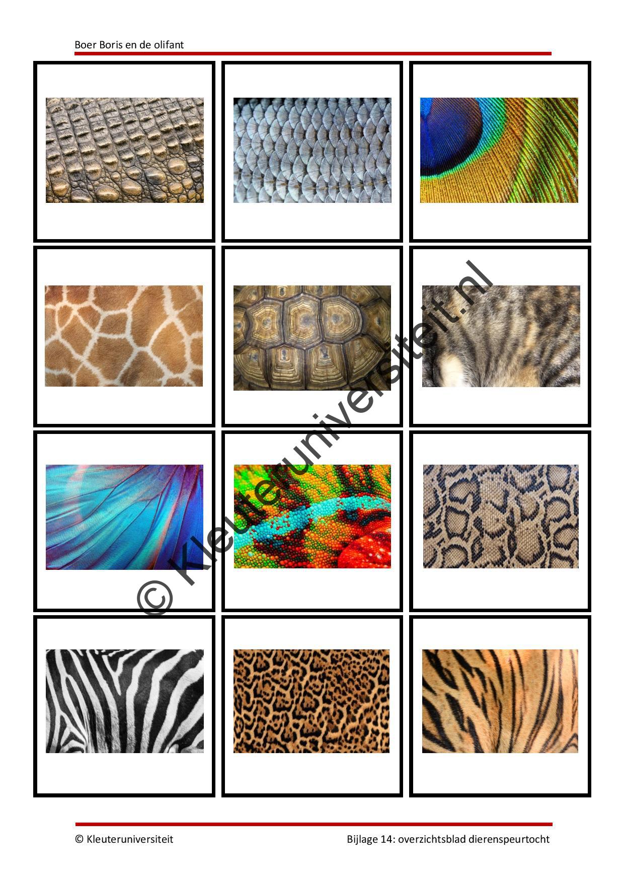 Boer Boris en de olifant - Afbeelding 10