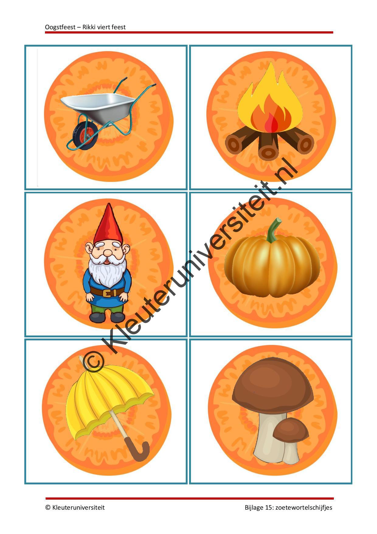 Oogstfeest - Rikki viert feest - Afbeelding 9