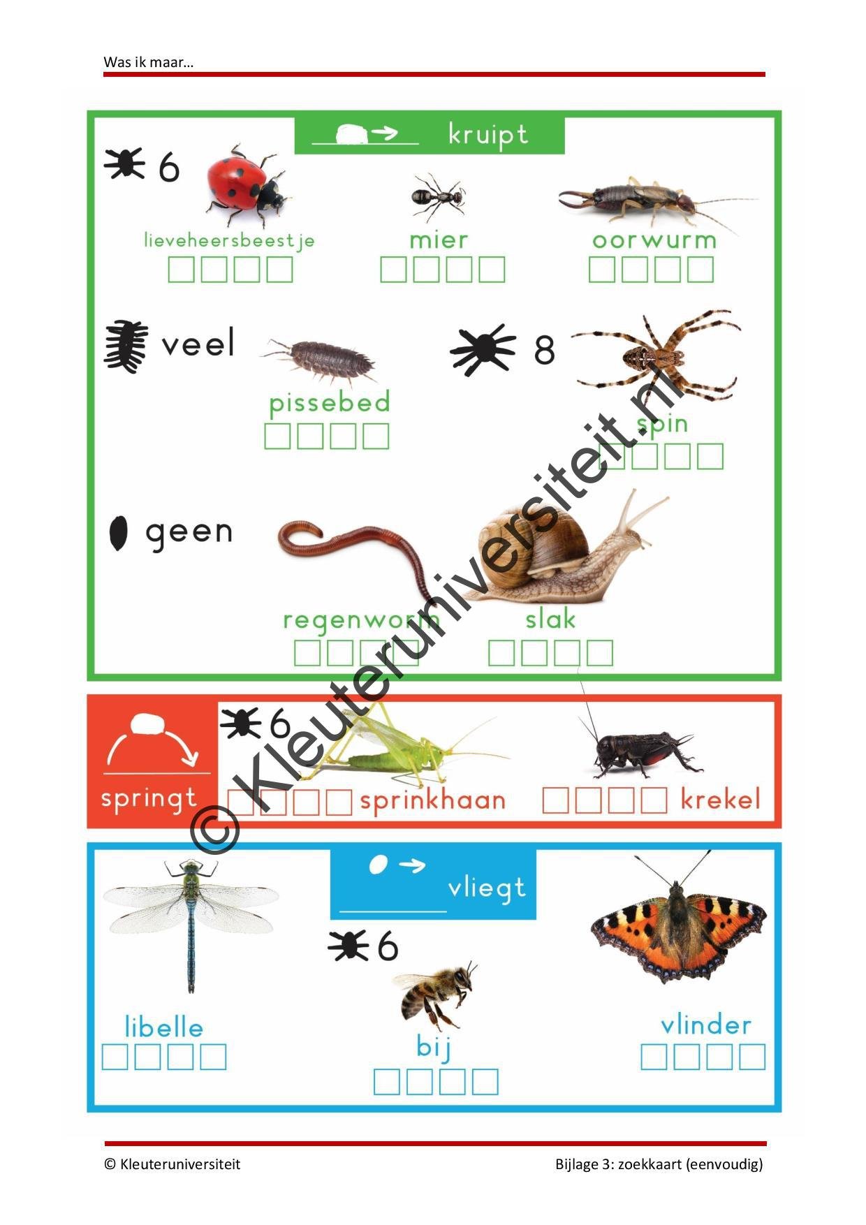 Was ik maar - talentontwikkeling - Afbeelding 7