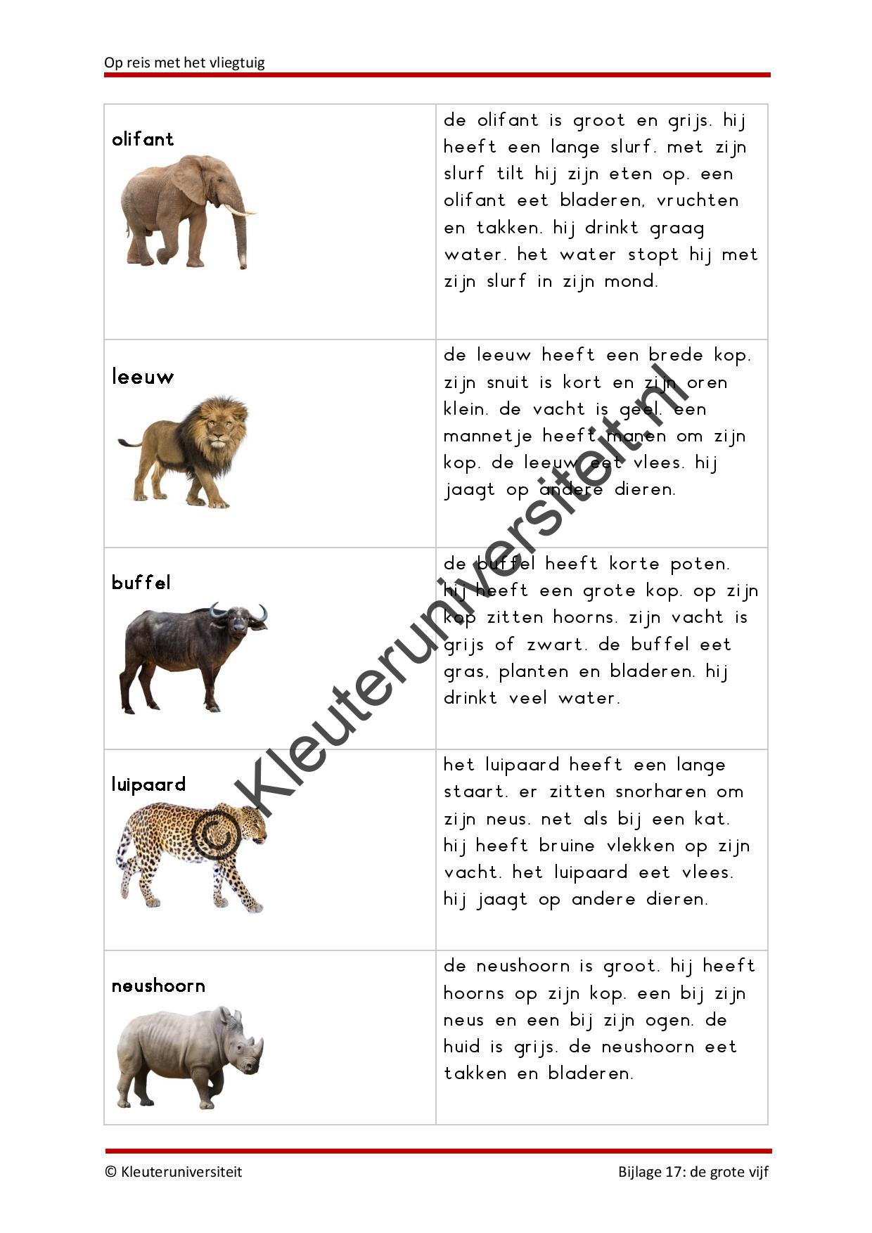 Op reis met het vliegtuig - plusproject - Afbeelding 8