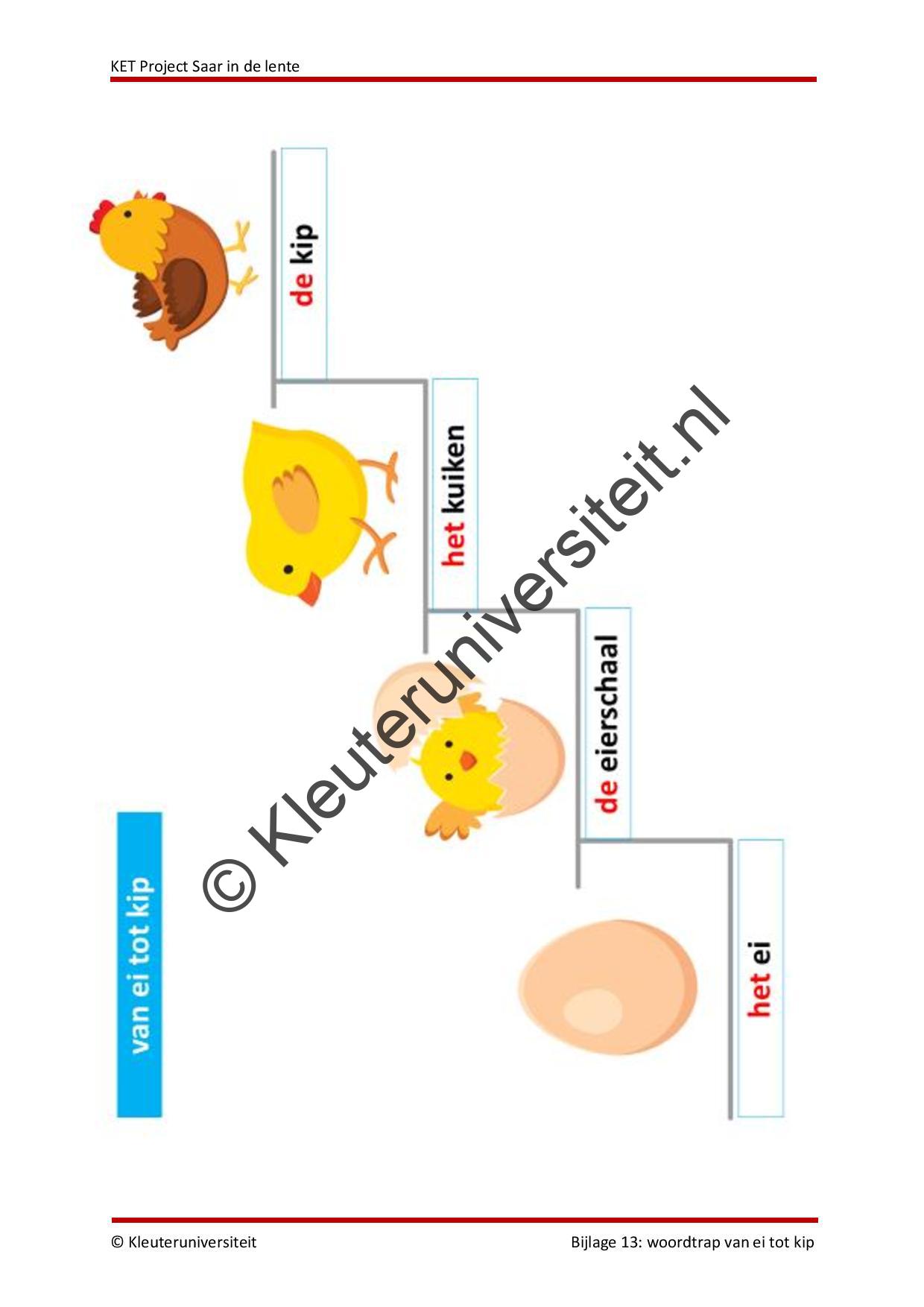 KET project Saar in de lente - Afbeelding 13