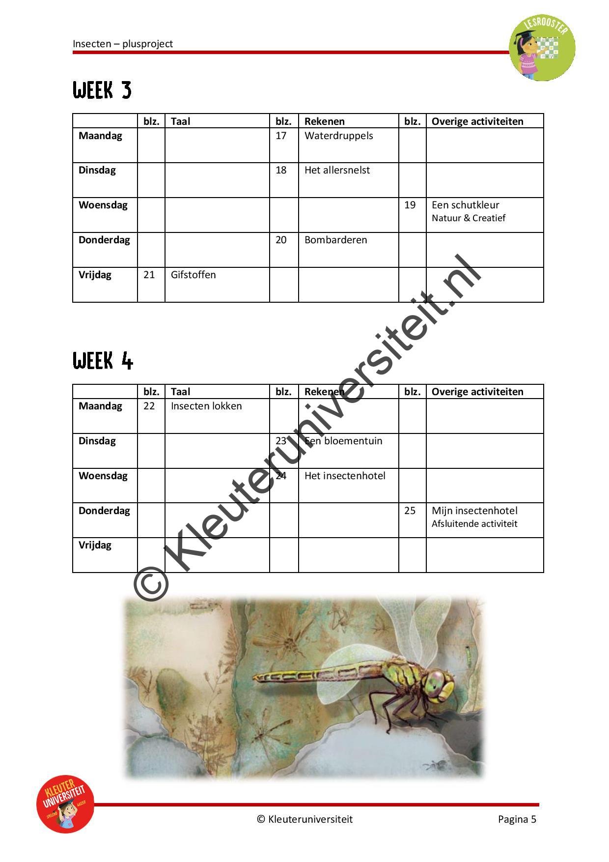 Insecten - plusproject - Afbeelding 4