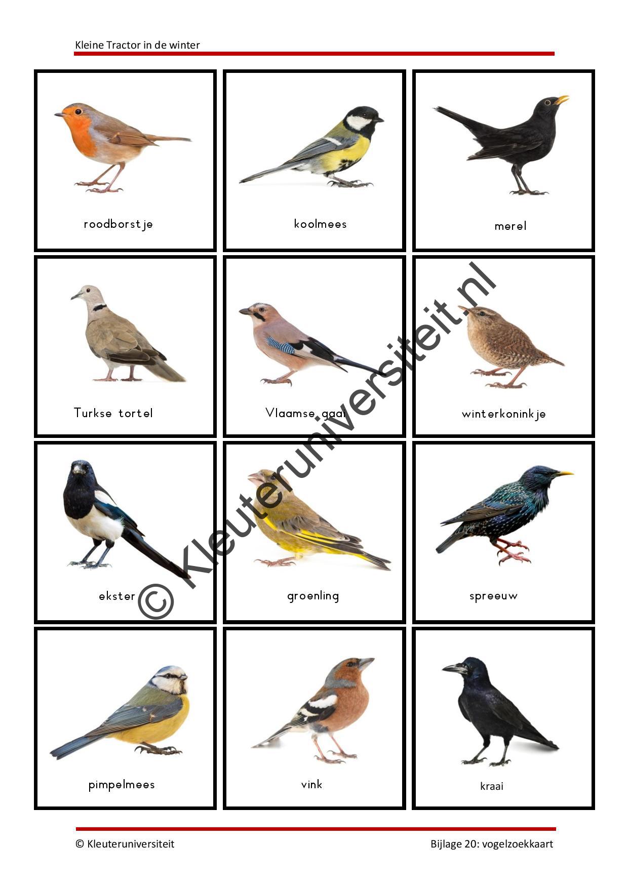 Kleine Tractor in de winter - Afbeelding 9