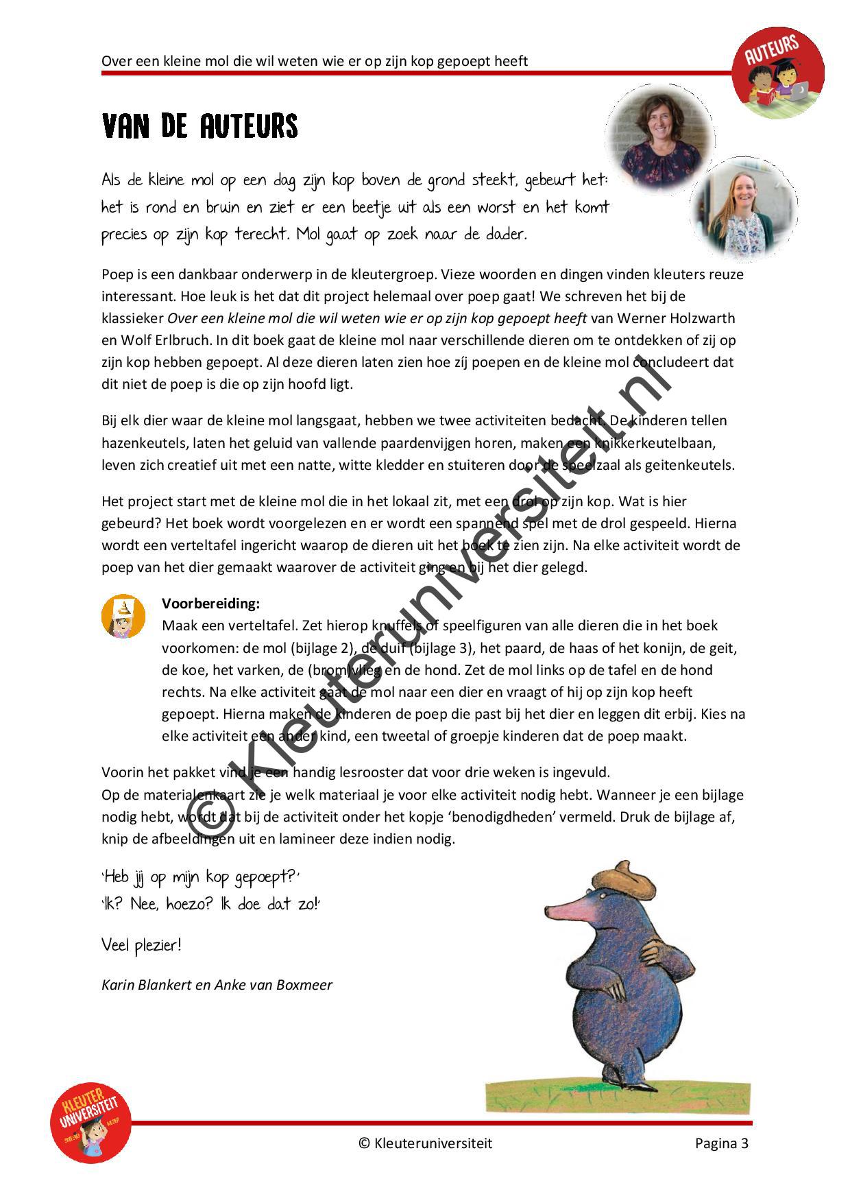 Over een kleine mol - Afbeelding 2