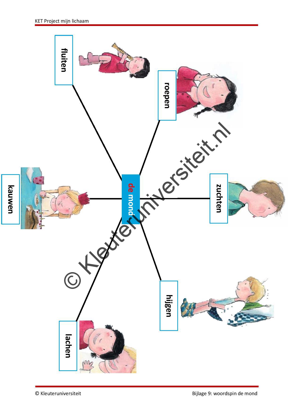 KET project Mijn lichaam - Afbeelding 13