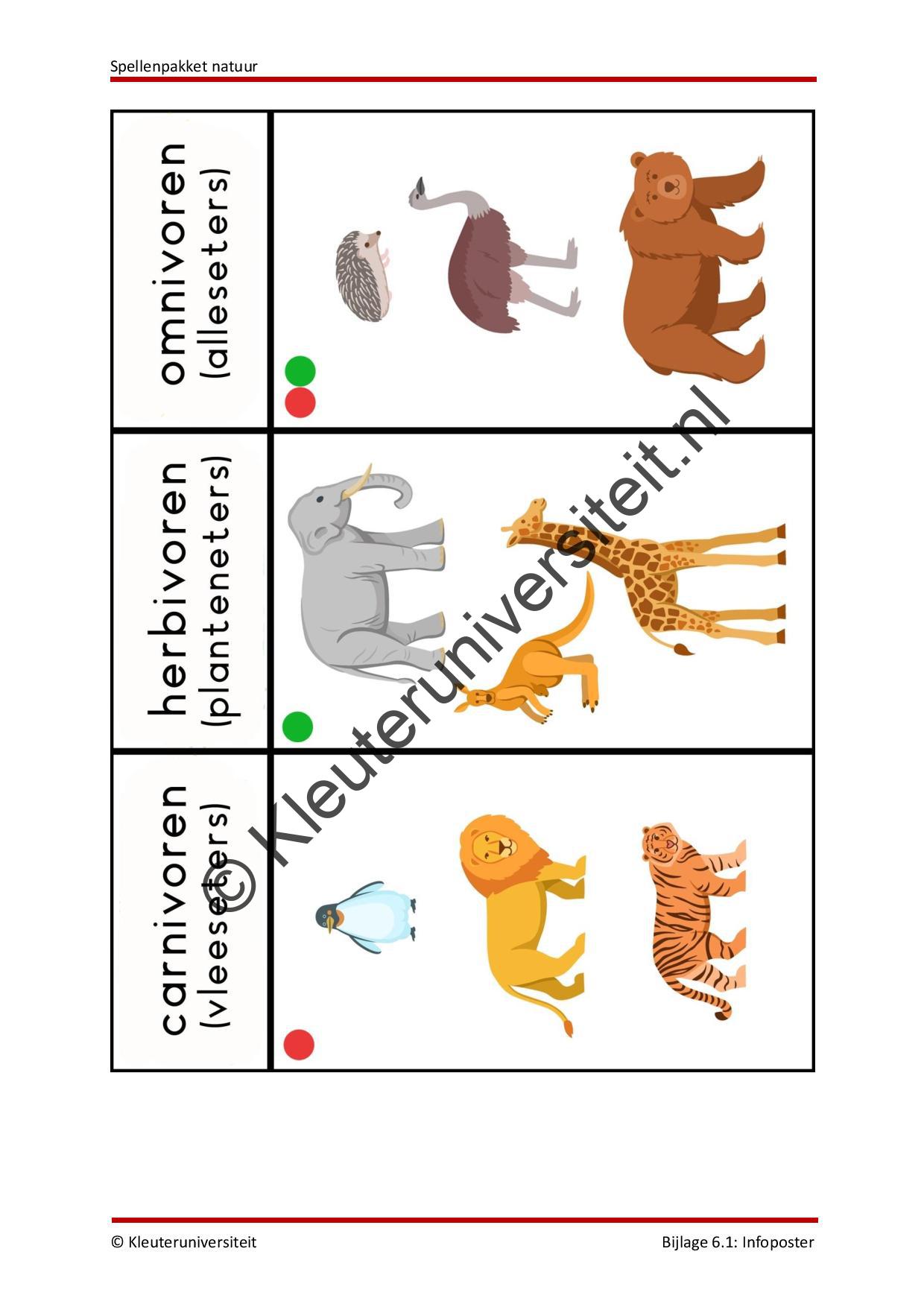 Spellenpakket natuur - Afbeelding 8