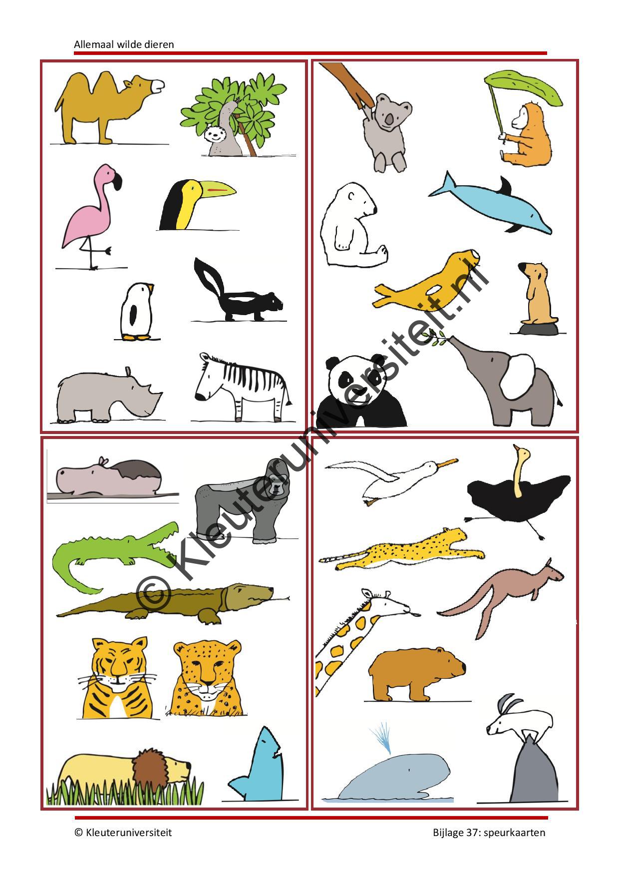 Allemaal wilde dieren - Afbeelding 13