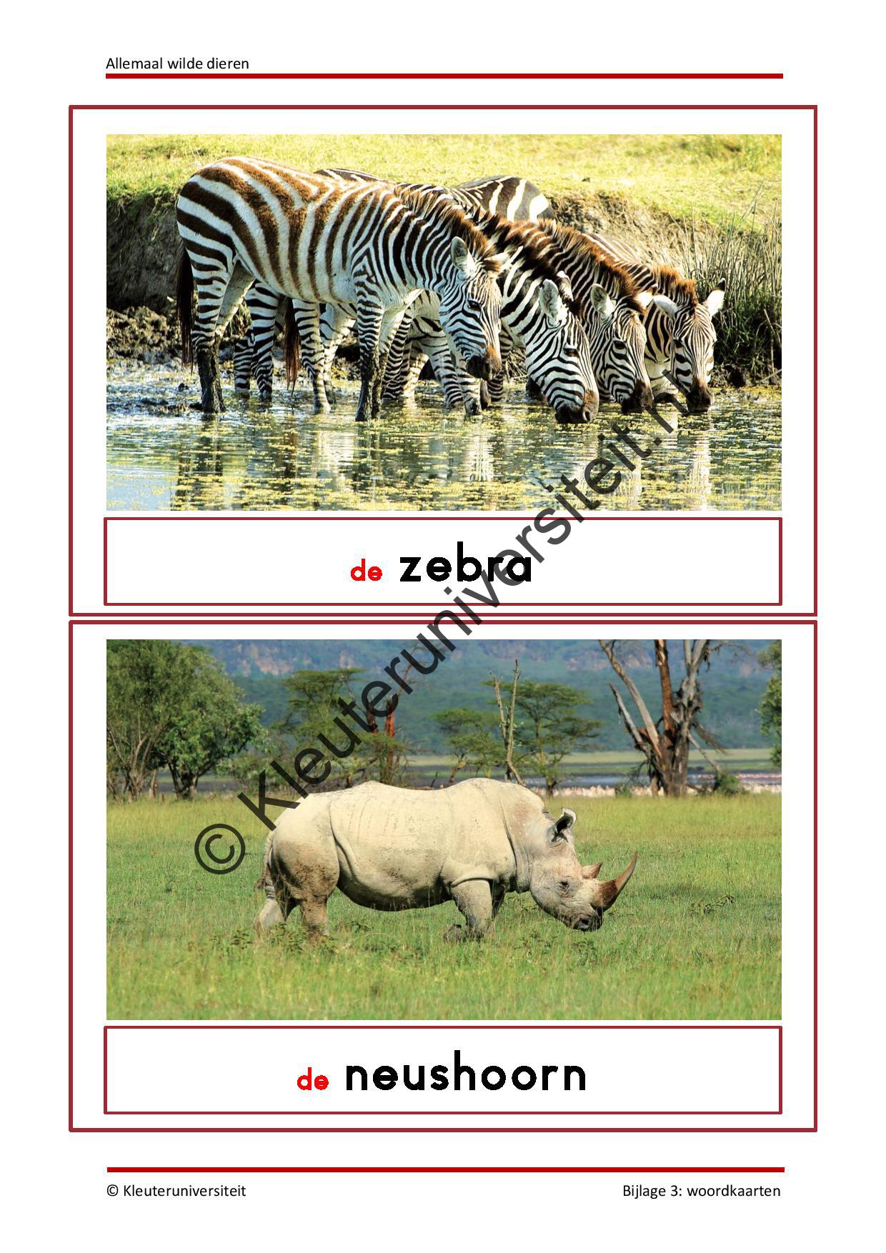 Allemaal wilde dieren - Afbeelding 9