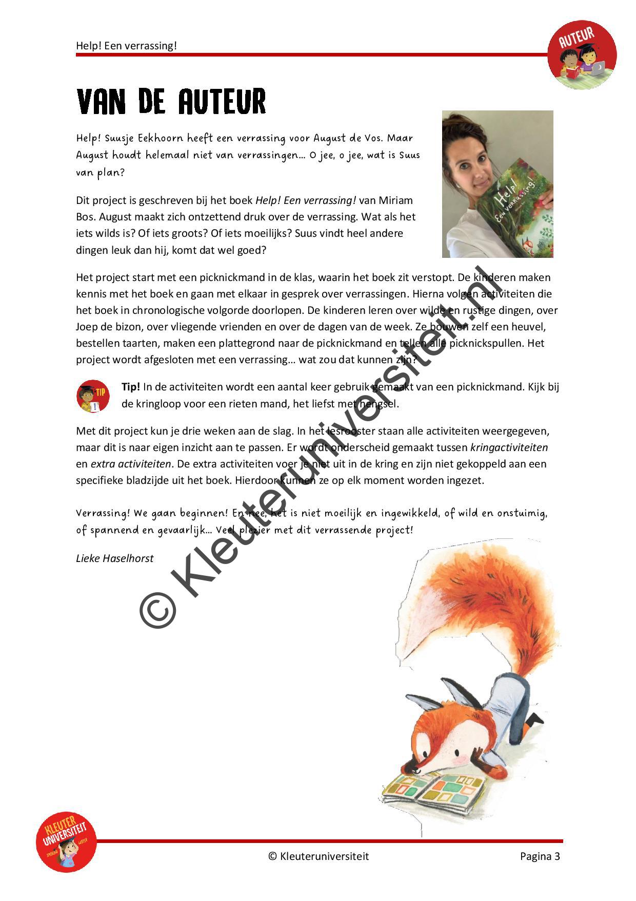 Help! Een verrassing - Afbeelding 2