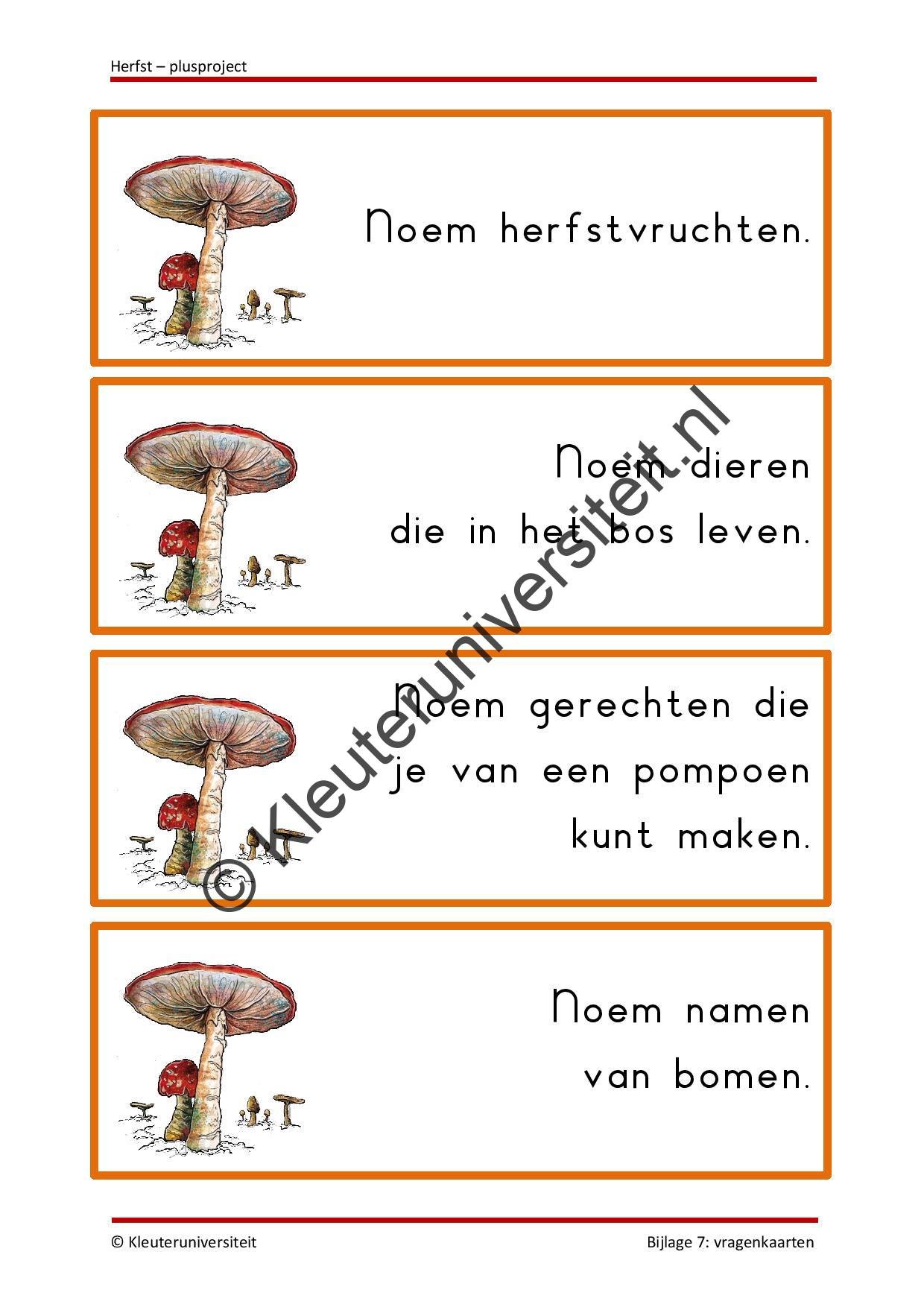 Herfst - plusproject - Afbeelding 7