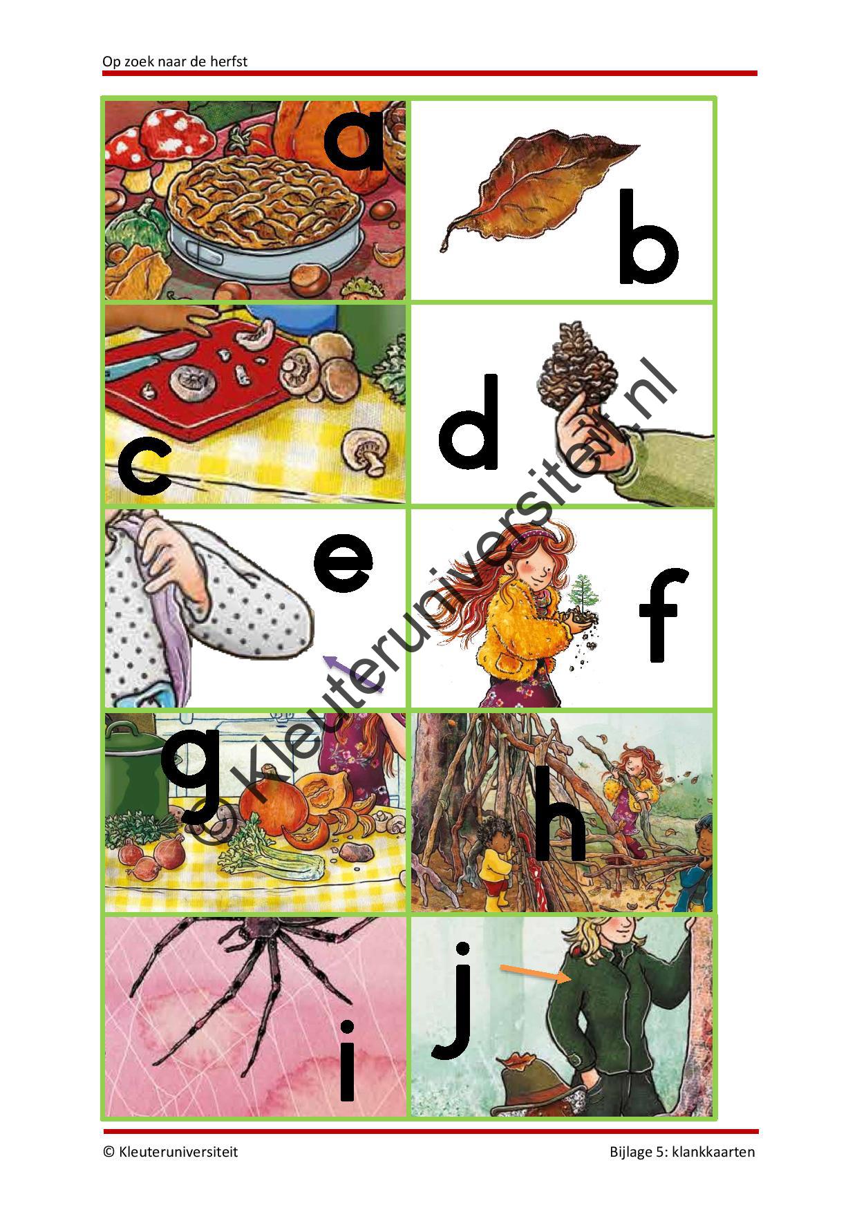 Op zoek naar de herfst - Afbeelding 11