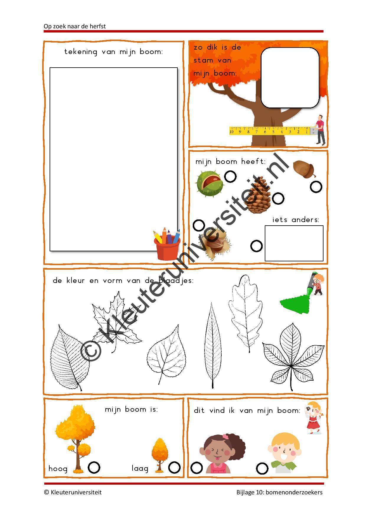 Op zoek naar de herfst - Afbeelding 12