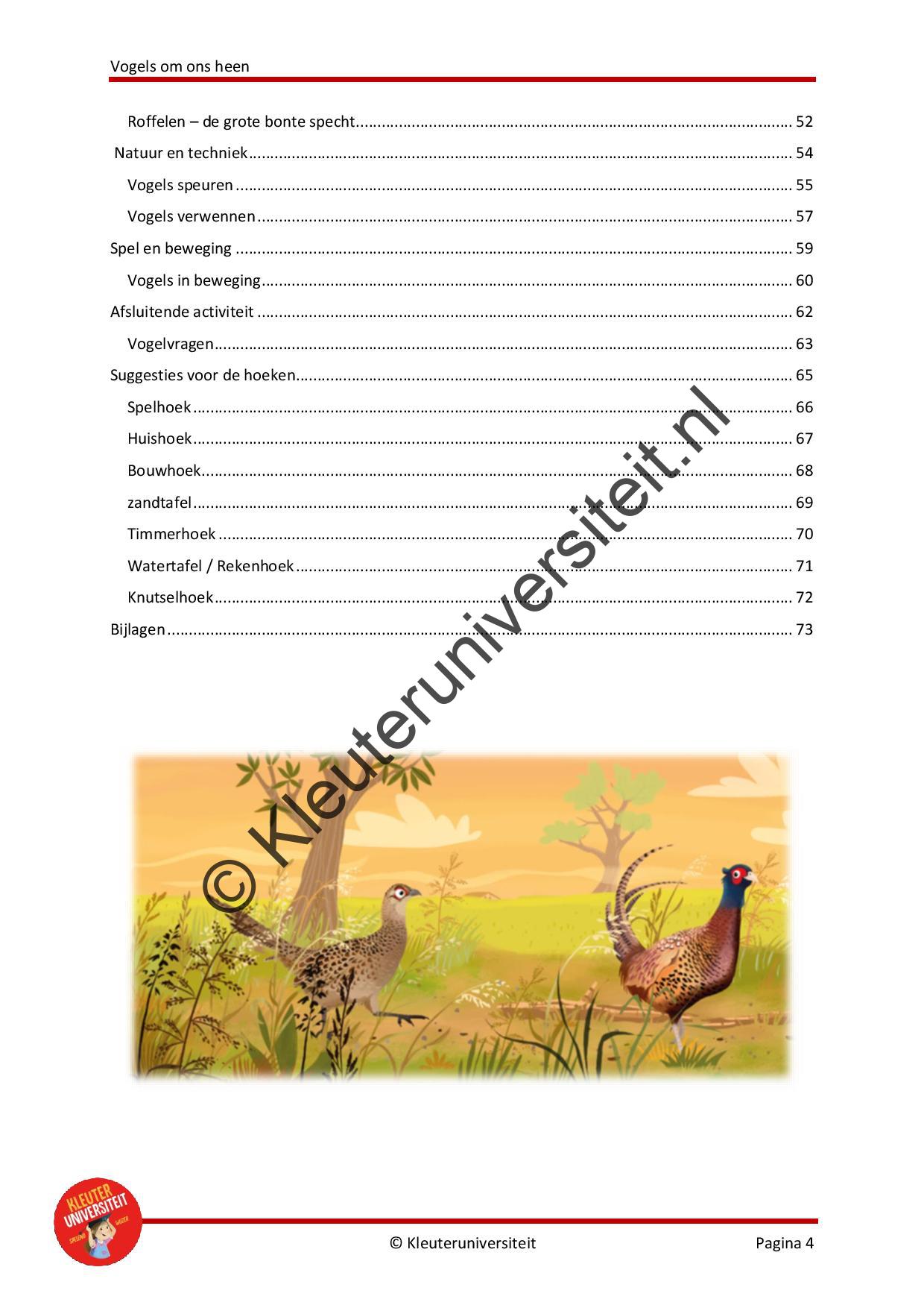 Vogels om ons heen - Afbeelding 3