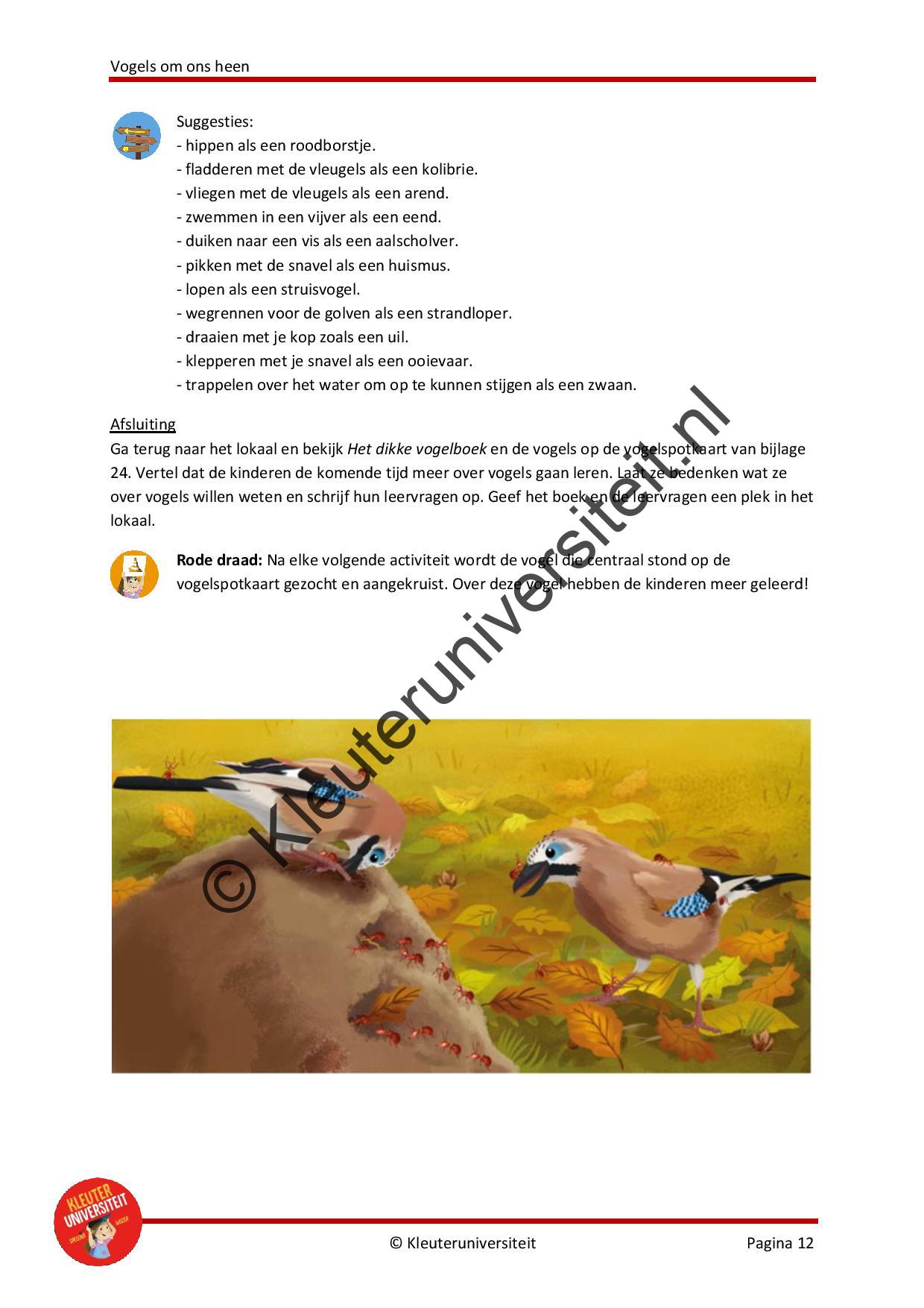 Vogels om ons heen - Afbeelding 8