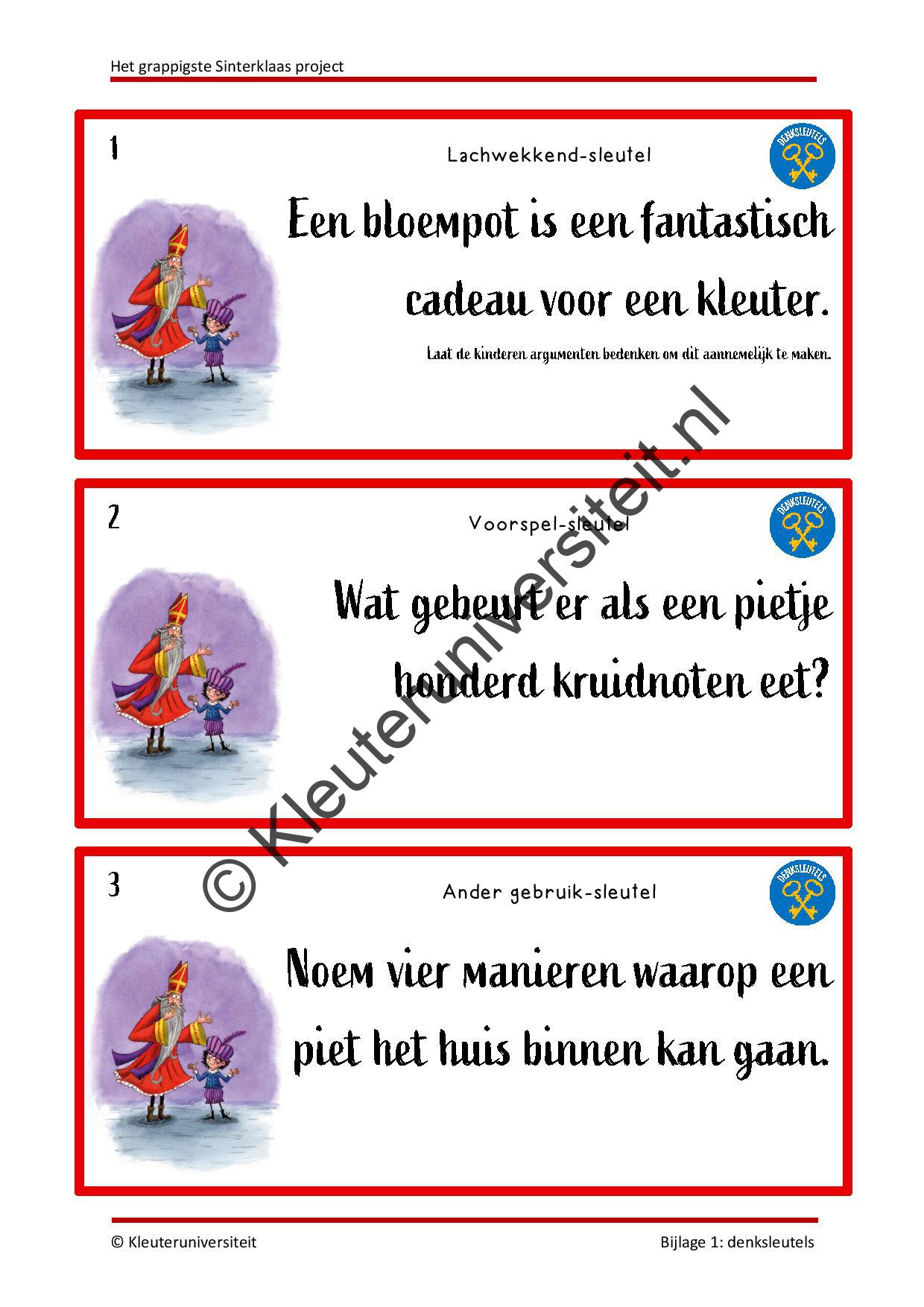 Het grappigste Sinterklaas project - Afbeelding 6