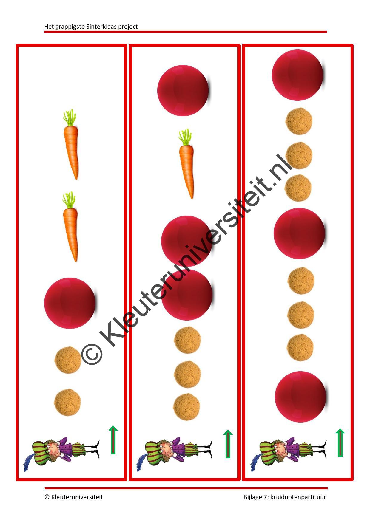 Het grappigste Sinterklaas project - Afbeelding 8