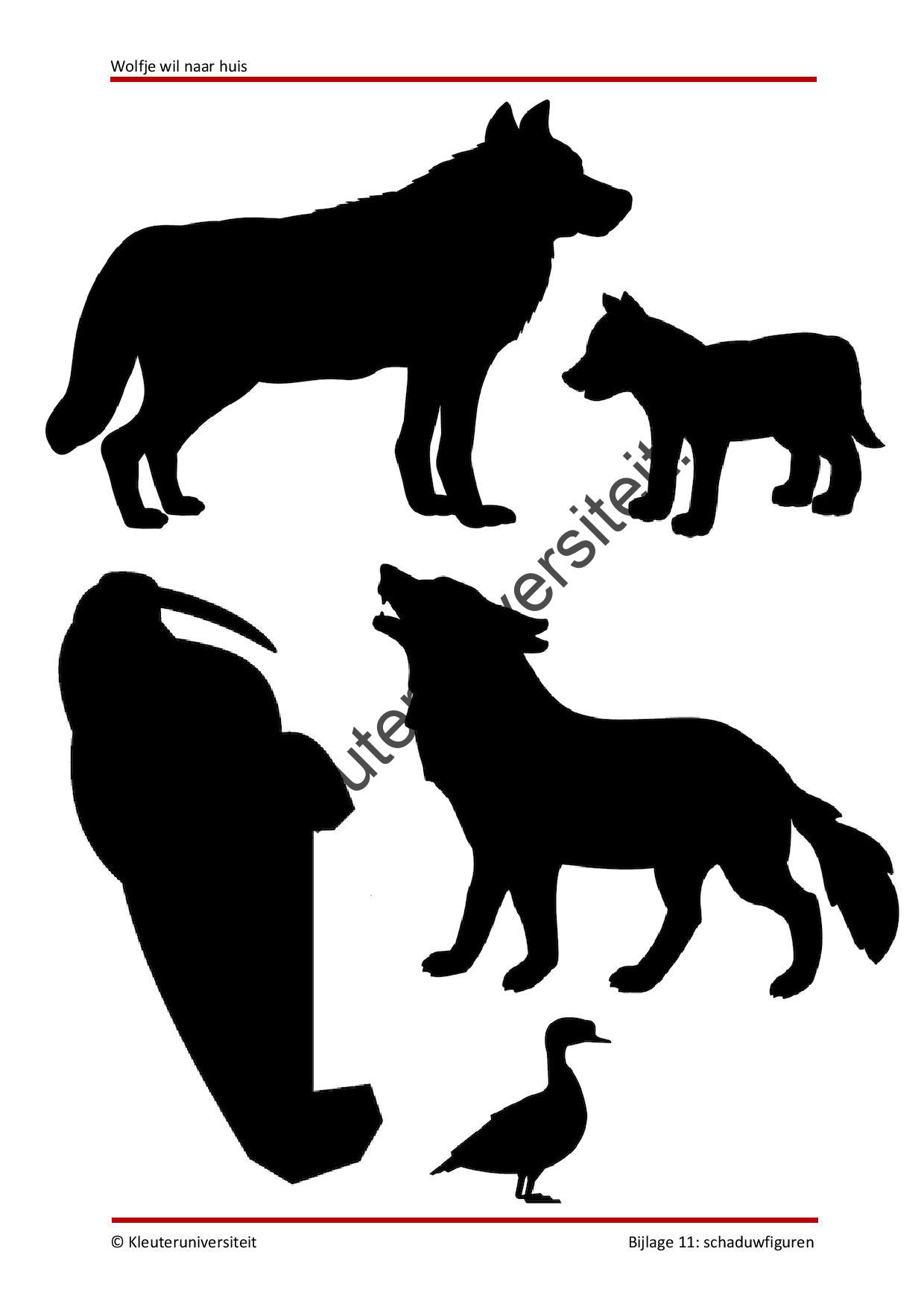 Wolfje wil naar huis - Afbeelding 9