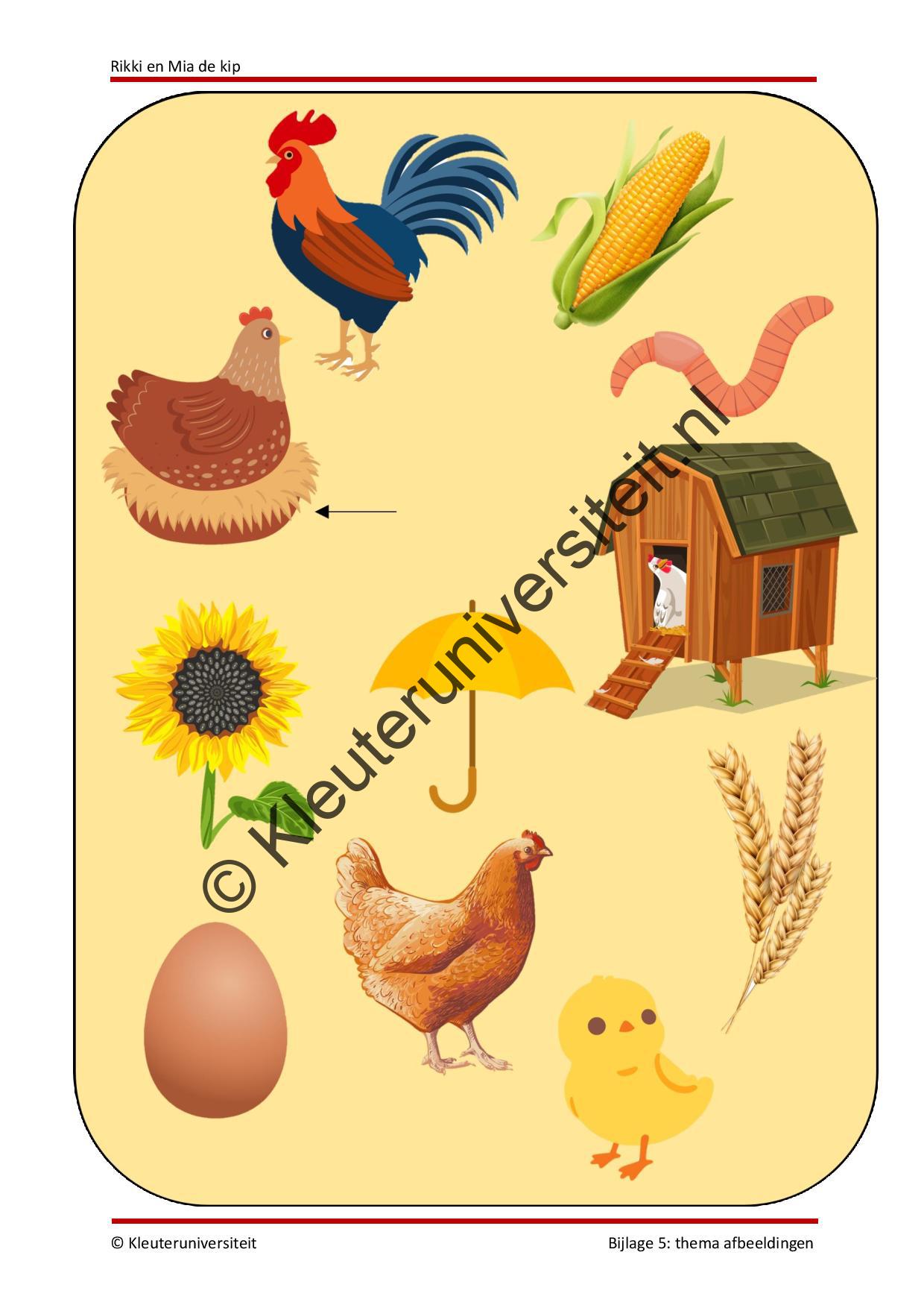Rikki en Mia de kip - Afbeelding 6