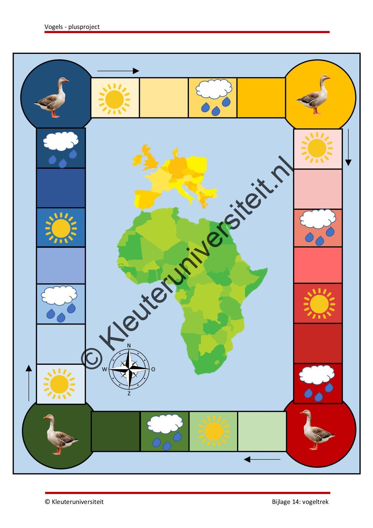 Vogels - plusproject - Afbeelding 8