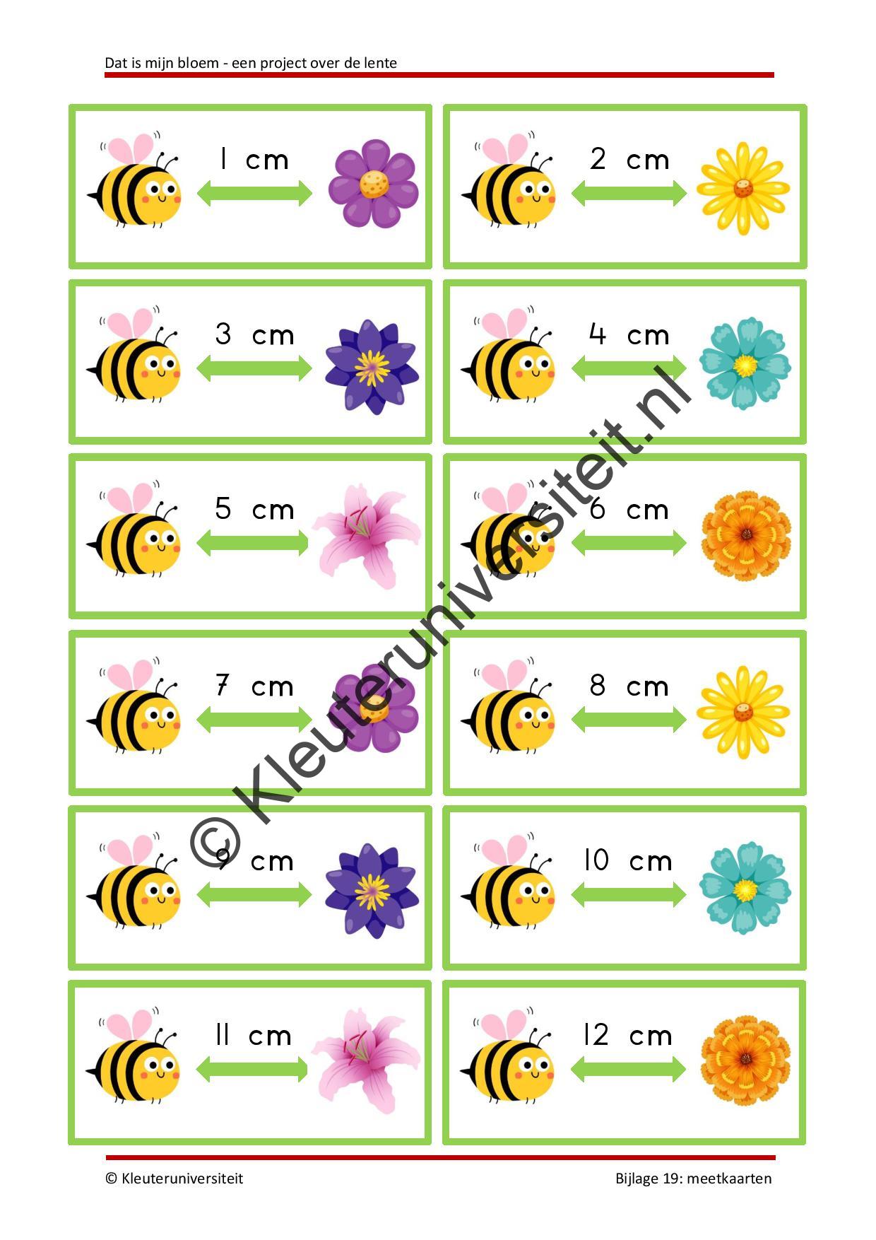 Dat is mijn bloem - Afbeelding 11