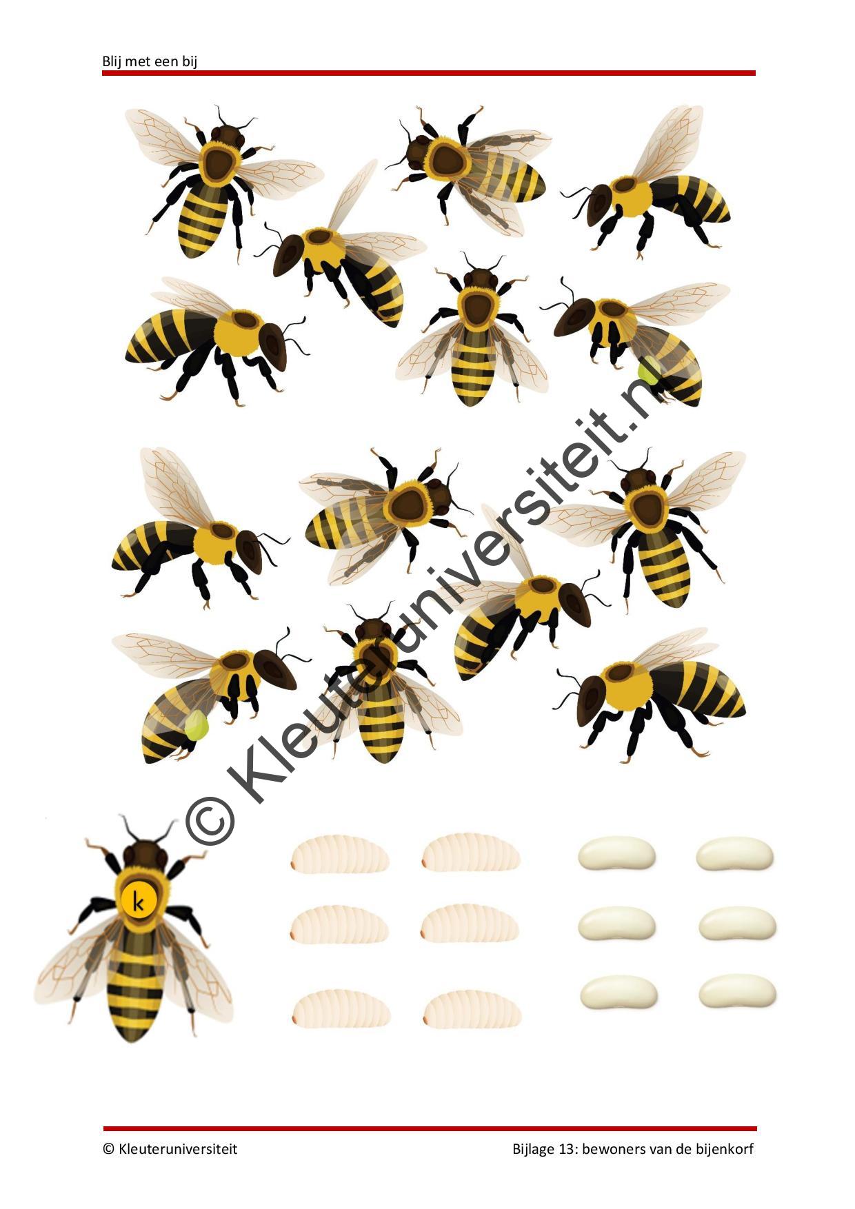 Blij met een bij - Afbeelding 10