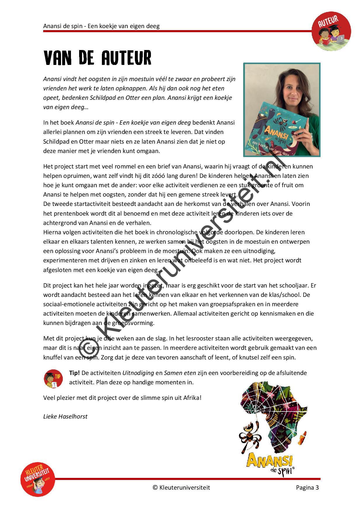 Anansi de spin - Afbeelding 2