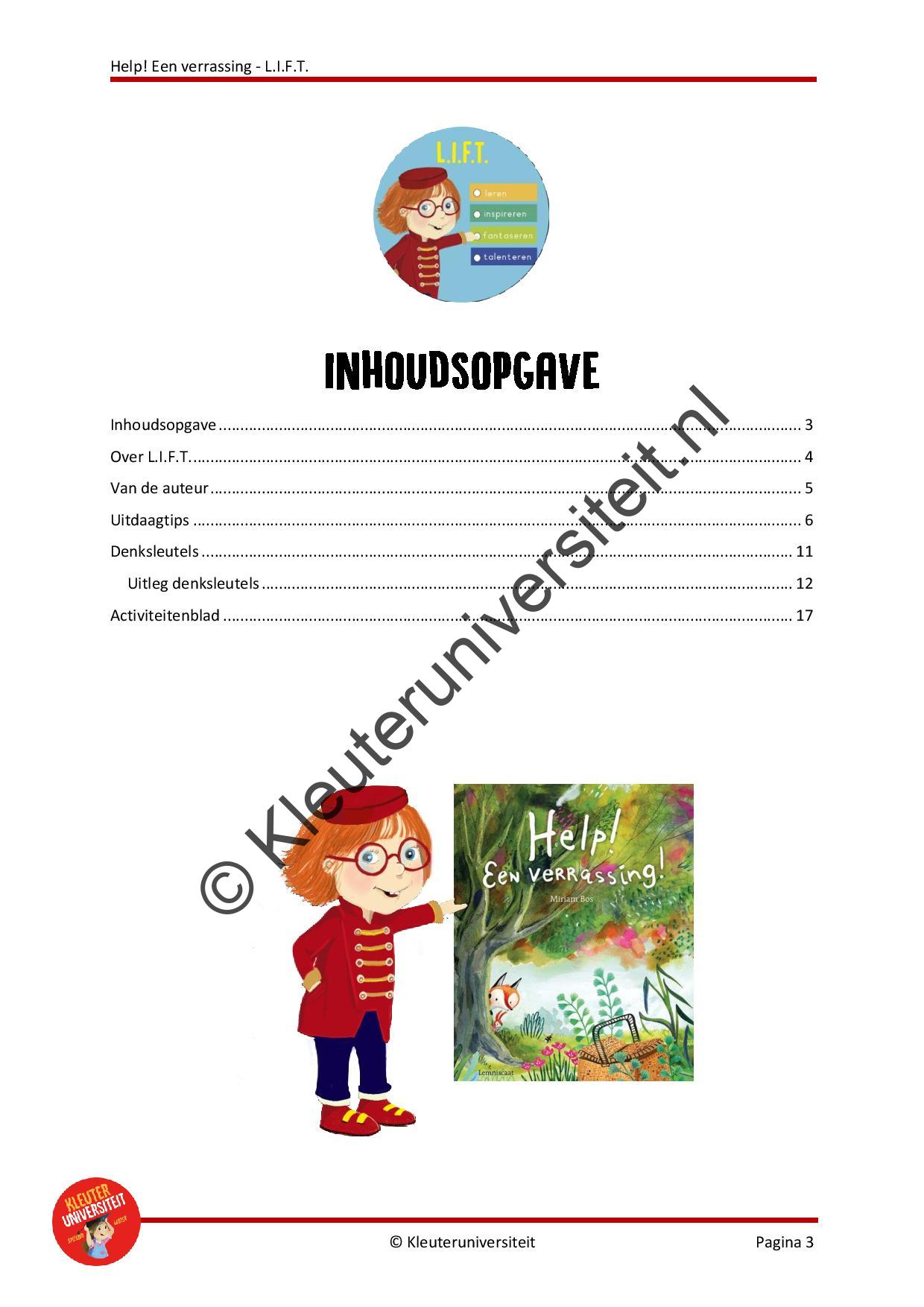 Help een verrassing - LIFT - Afbeelding 2