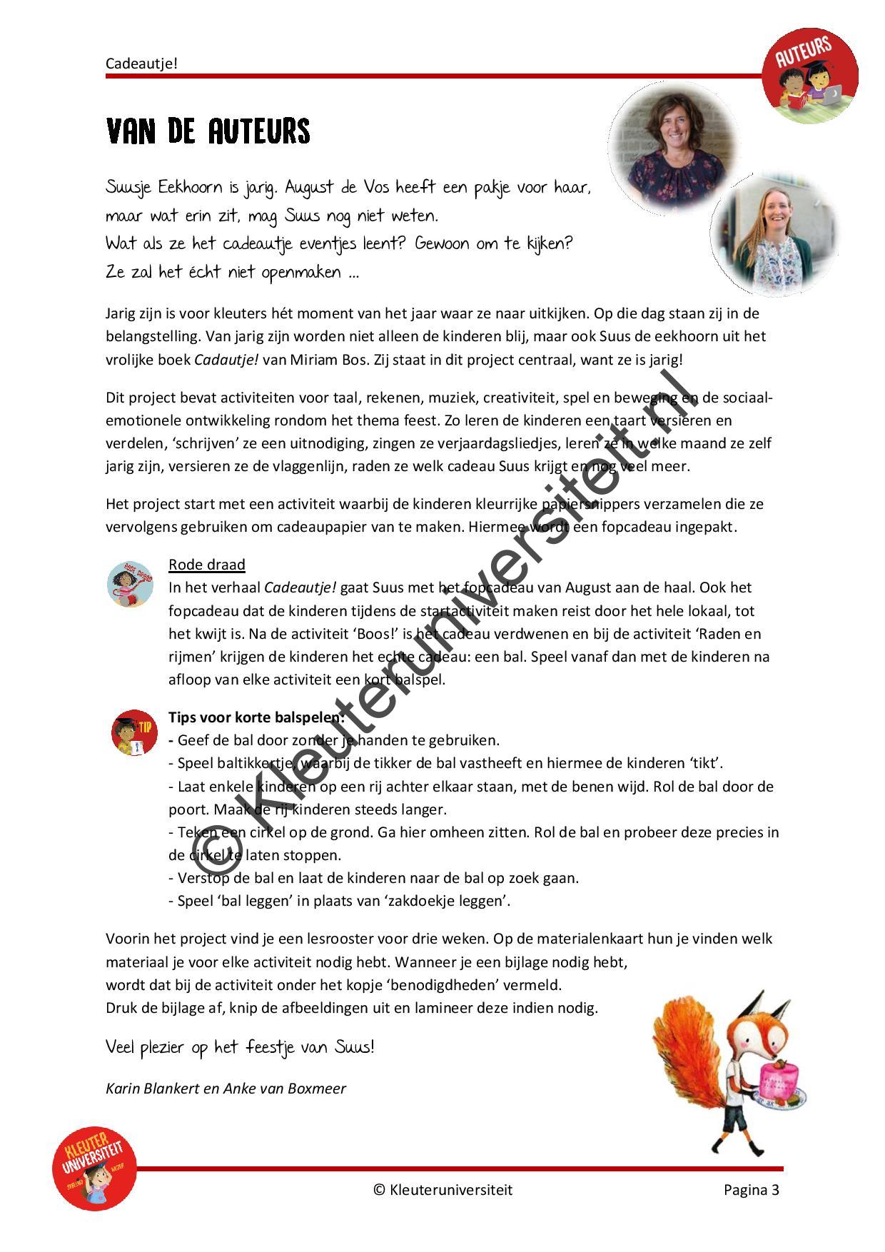 Cadeautje - Afbeelding 2