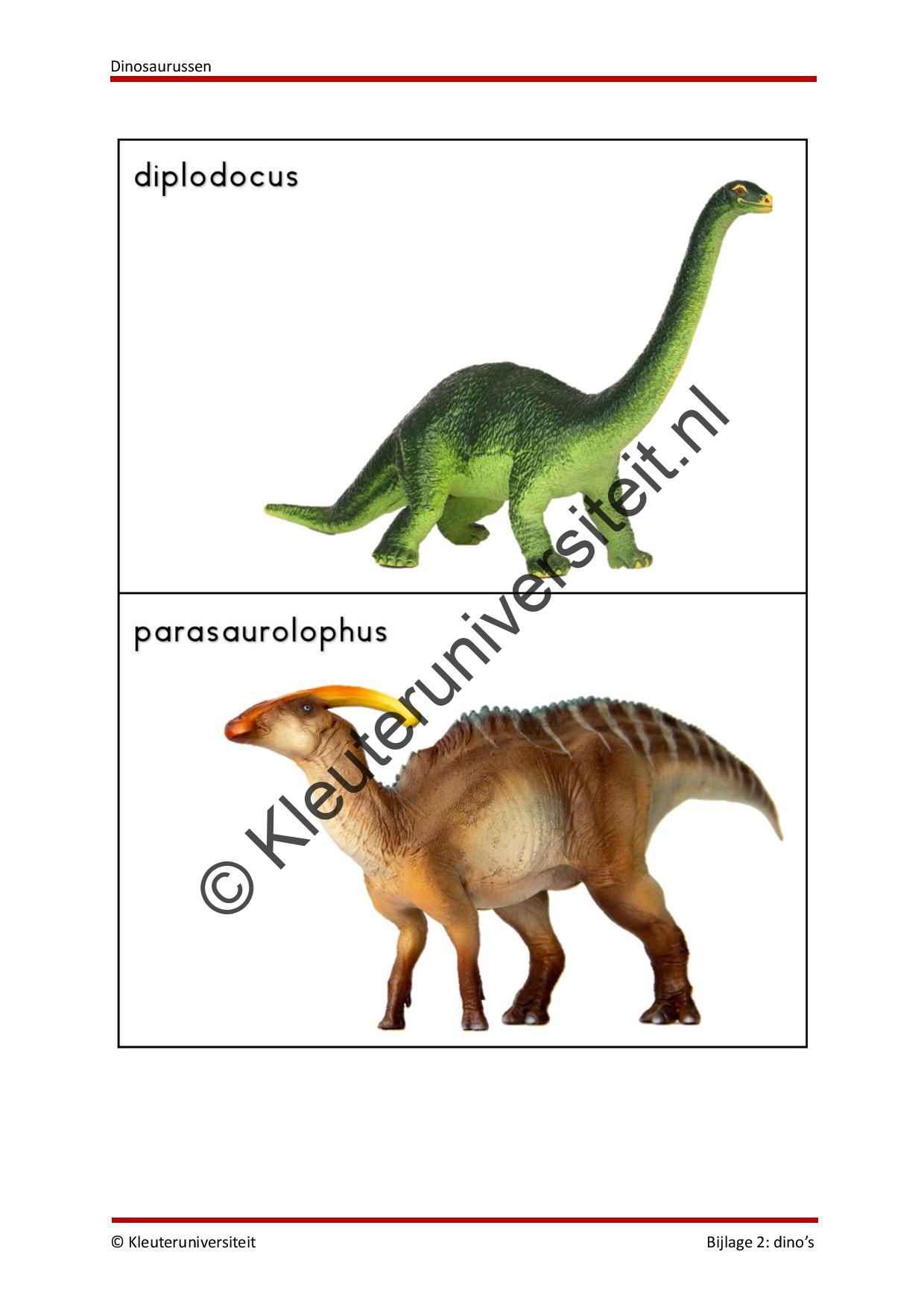 Dinosaurussen - Afbeelding 9