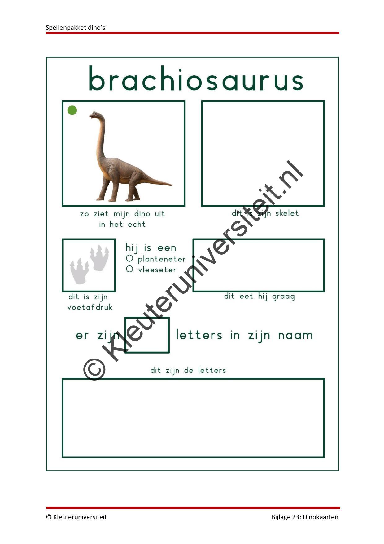 Spellenpakket dino's - Afbeelding 9
