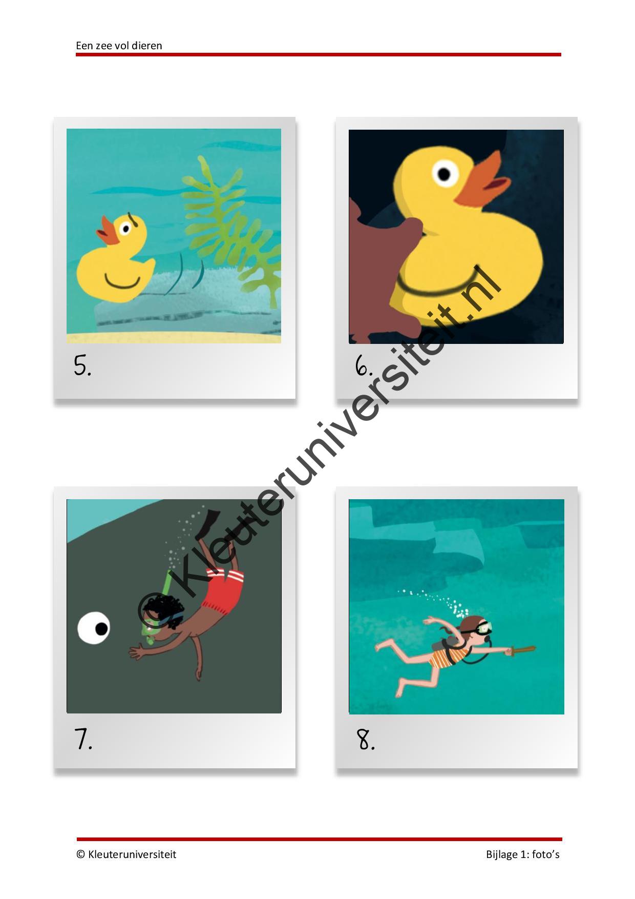 Een zee vol dieren - Afbeelding 9