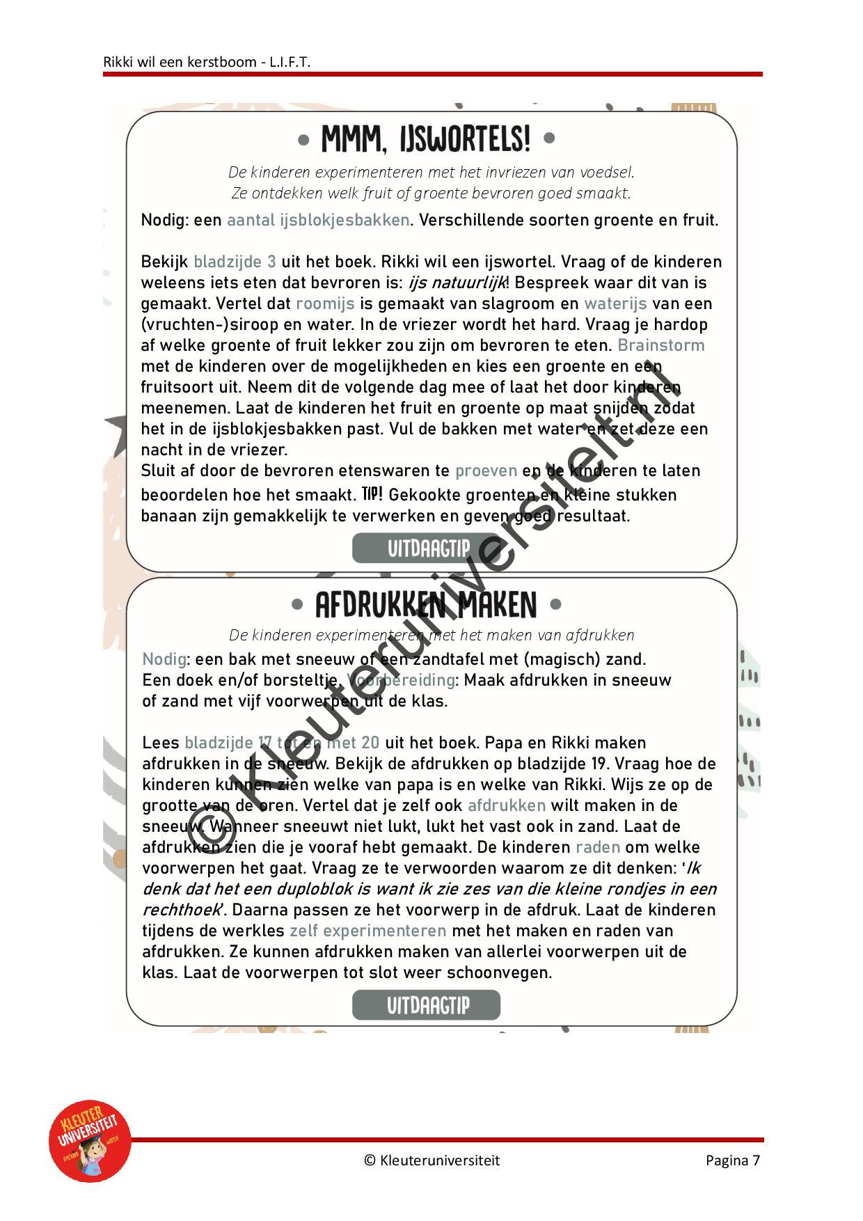 Rikki wil een kerstboom - LIFT - Afbeelding 5