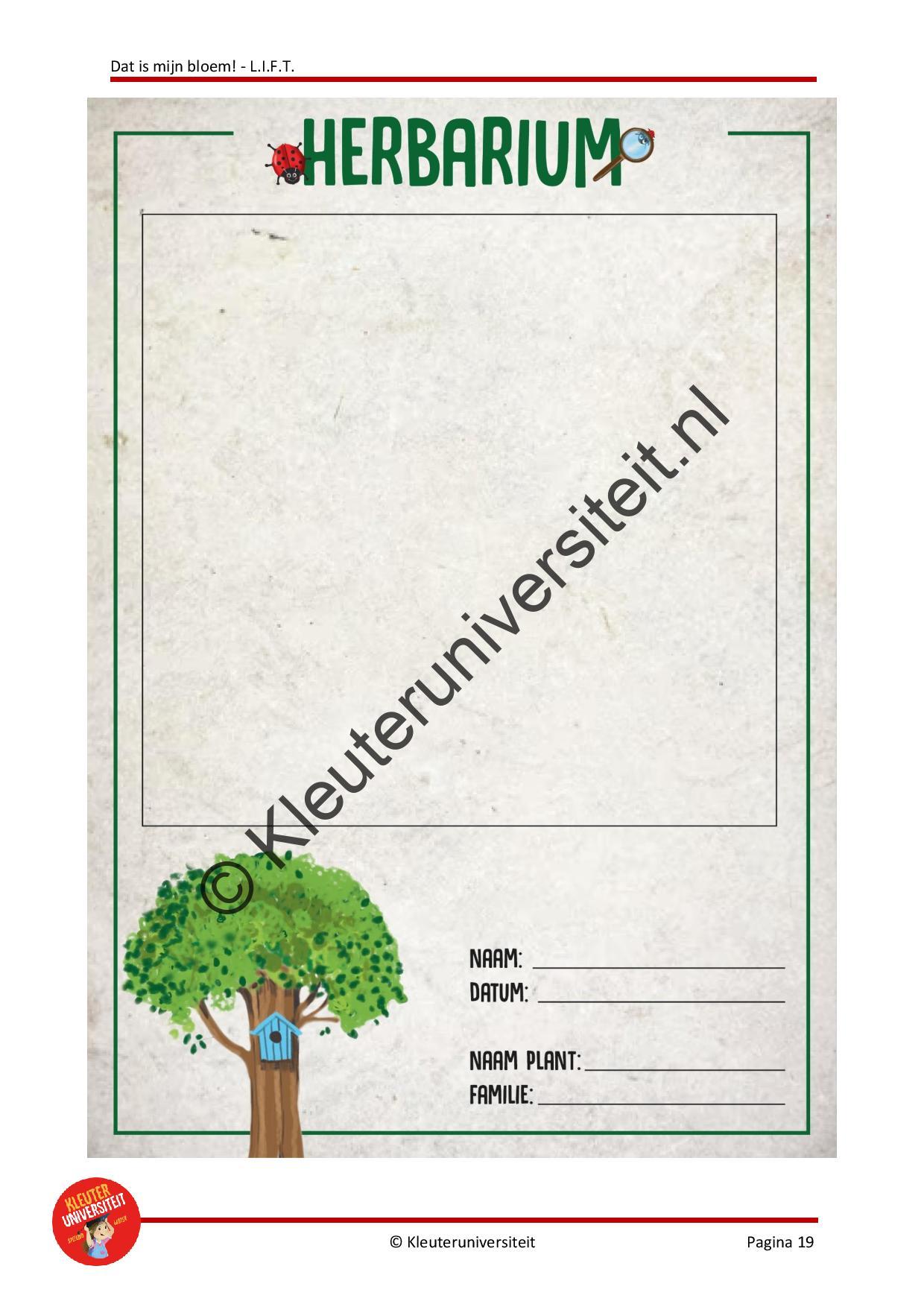 Dat is mijn bloem - LIFT - Afbeelding 6