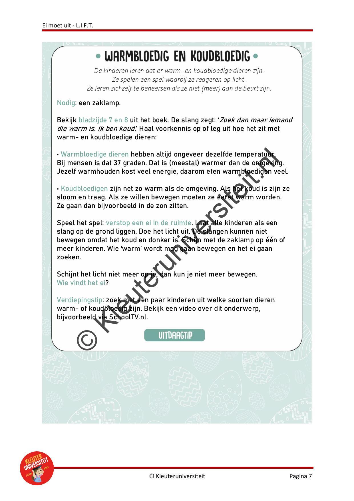 Ei moet uit - LIFT - Afbeelding 5